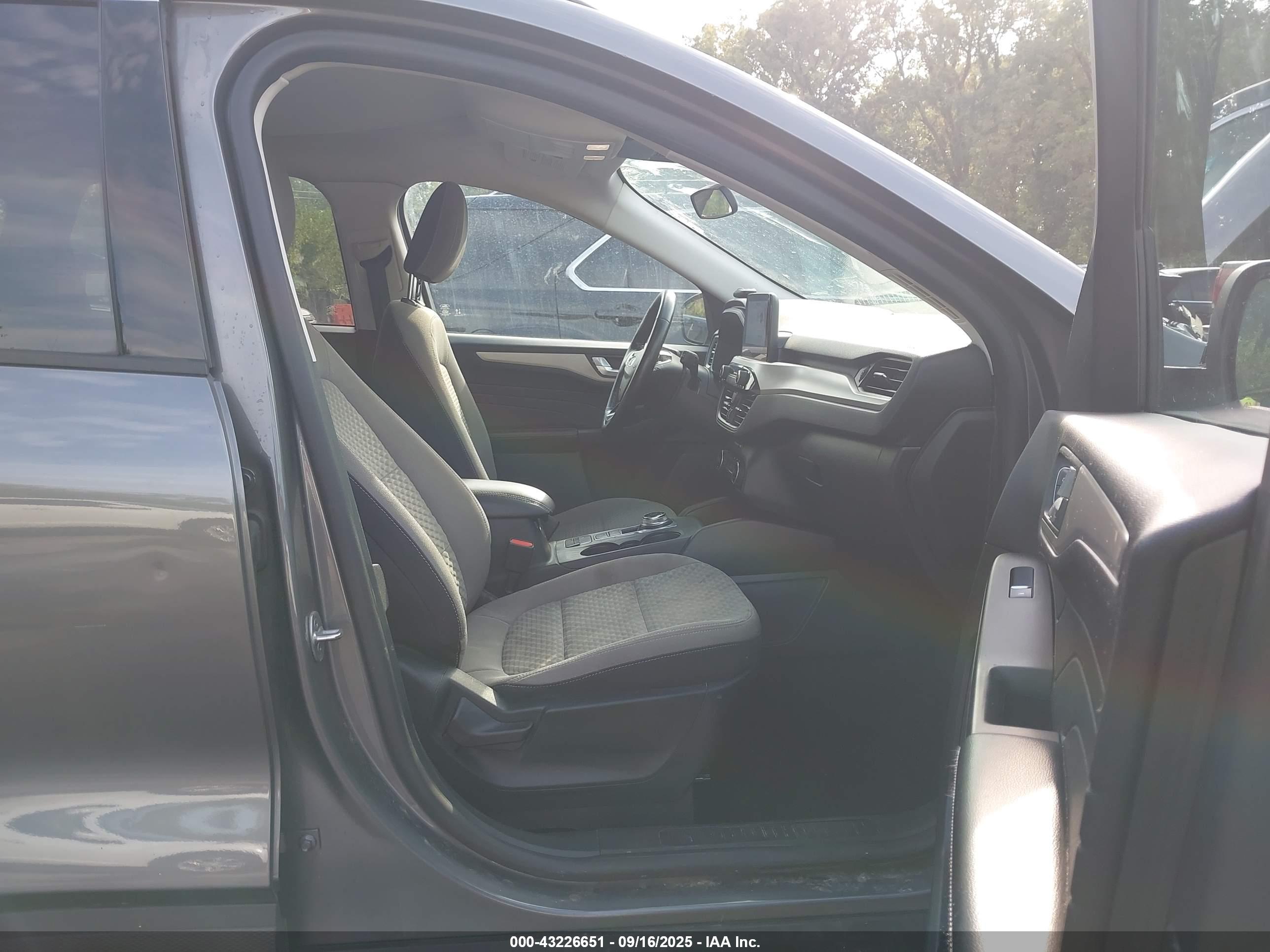 FORD ESCAPE image 5