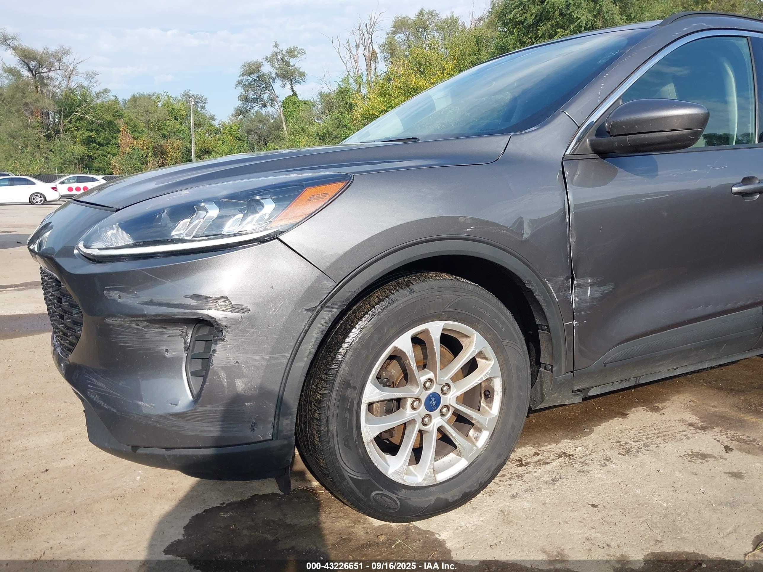 FORD ESCAPE image 6
