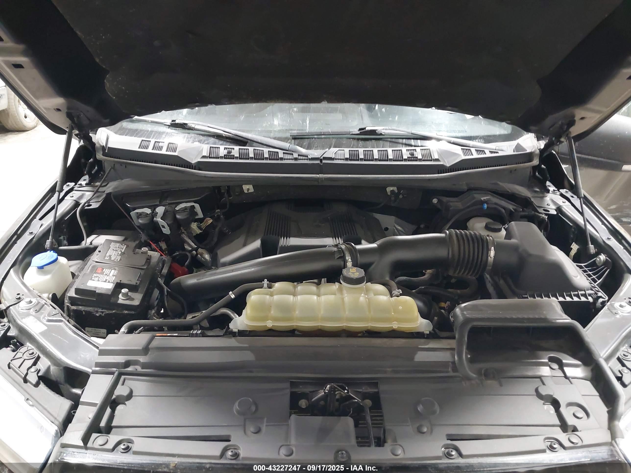 FORD F-150 image 10
