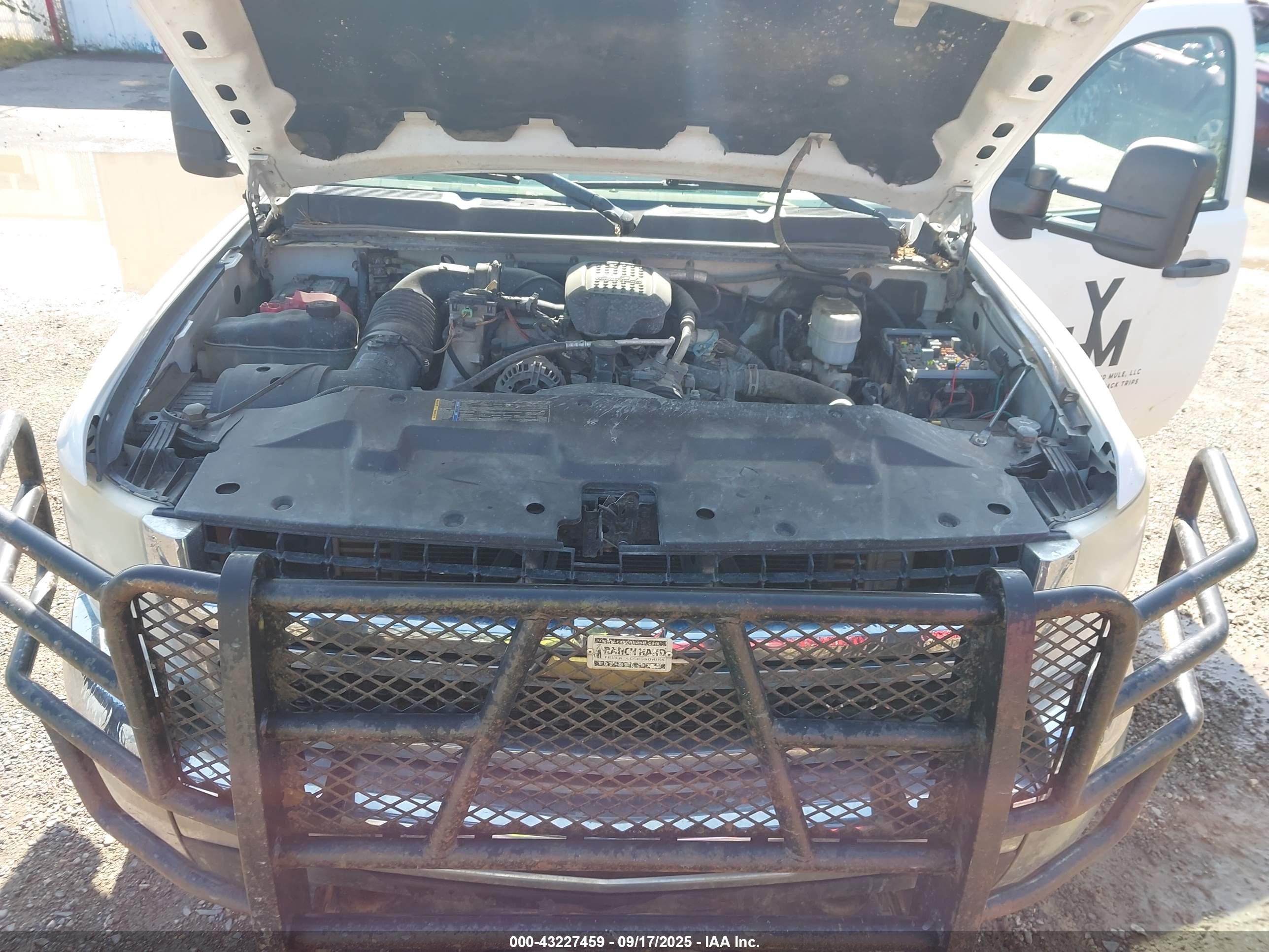 CHEVROLET SILVERADO image 10