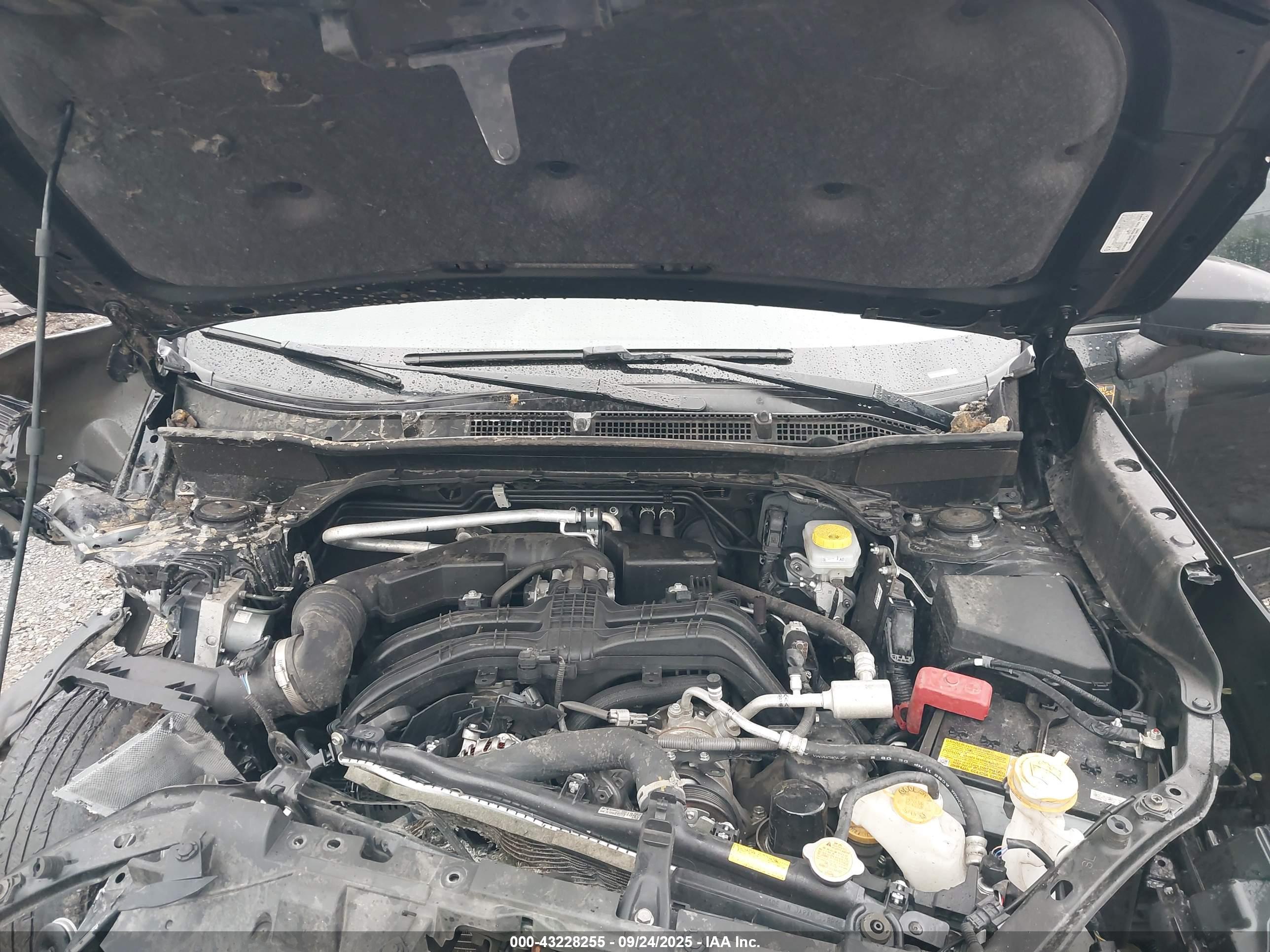 SUBARU FORESTER image 10