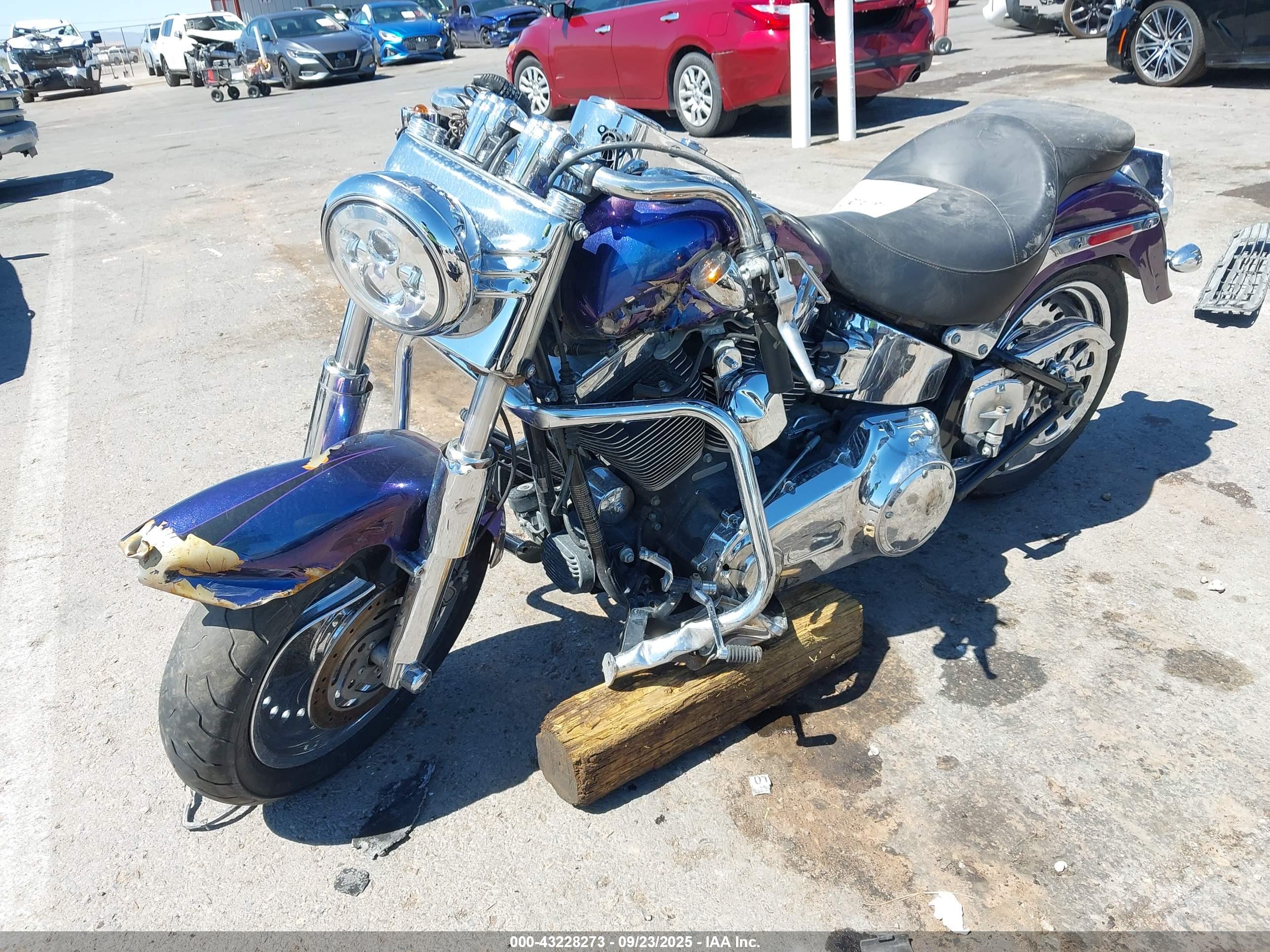 HARLEY-DAVIDSON FLSTF image 2