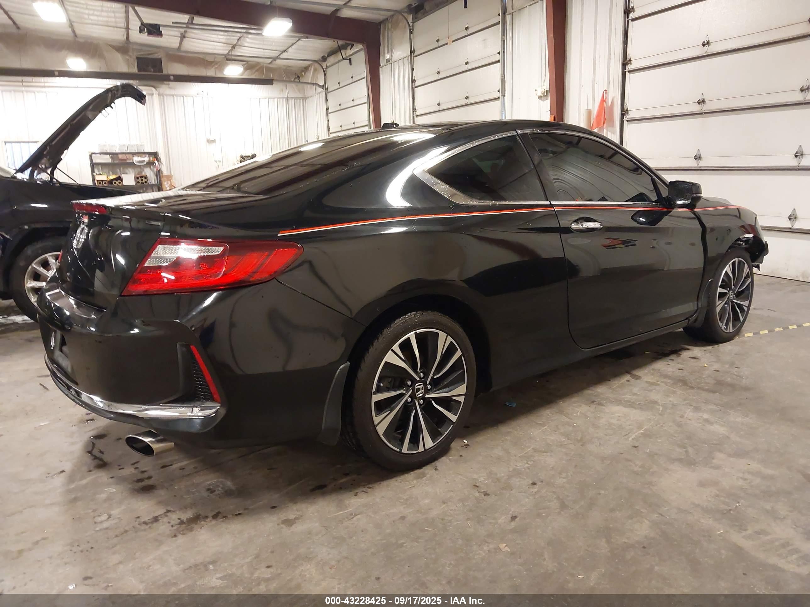 HONDA ACCORD image 4