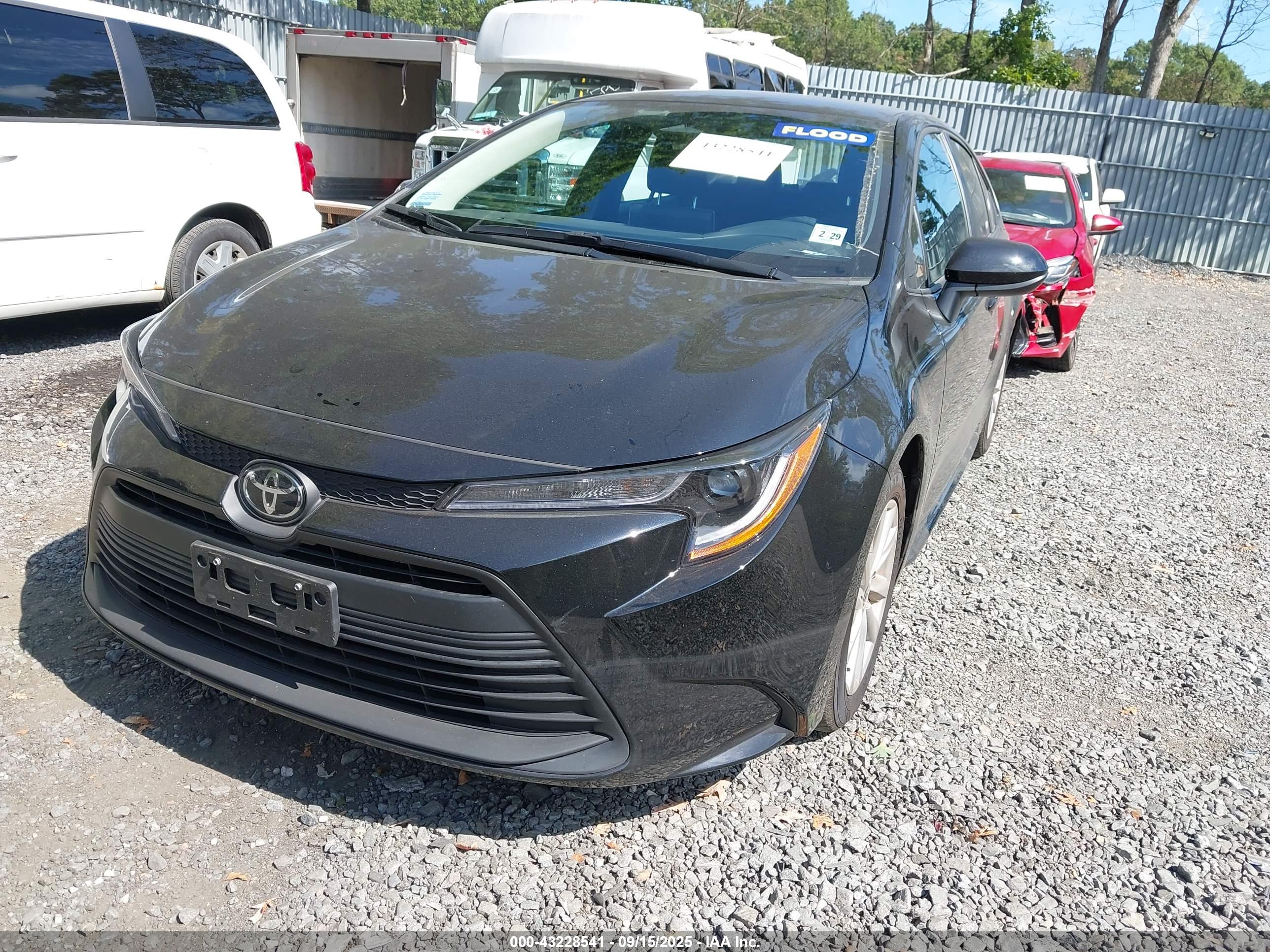 TOYOTA COROLLA image 2