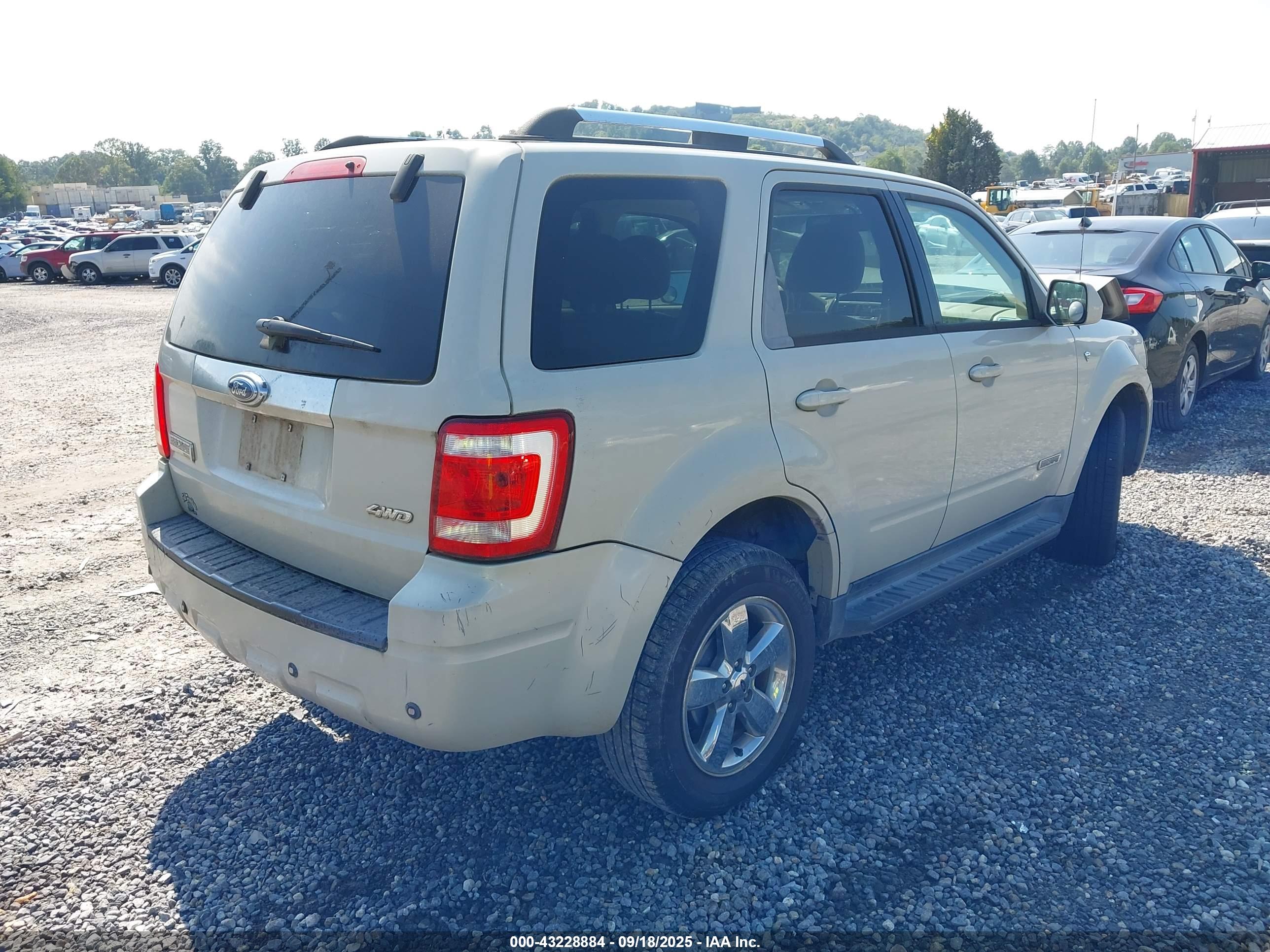 FORD ESCAPE image 4