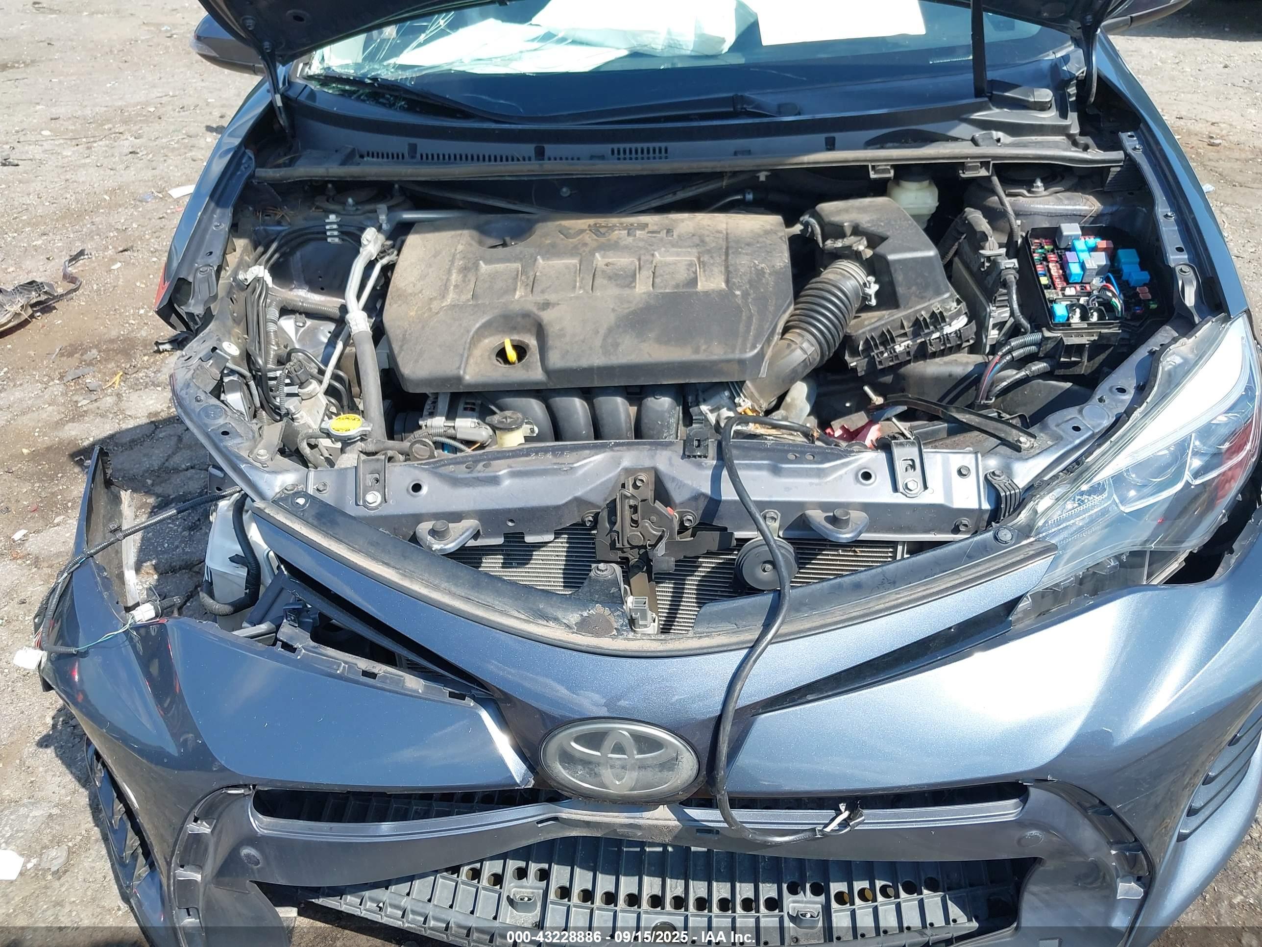 TOYOTA COROLLA image 10