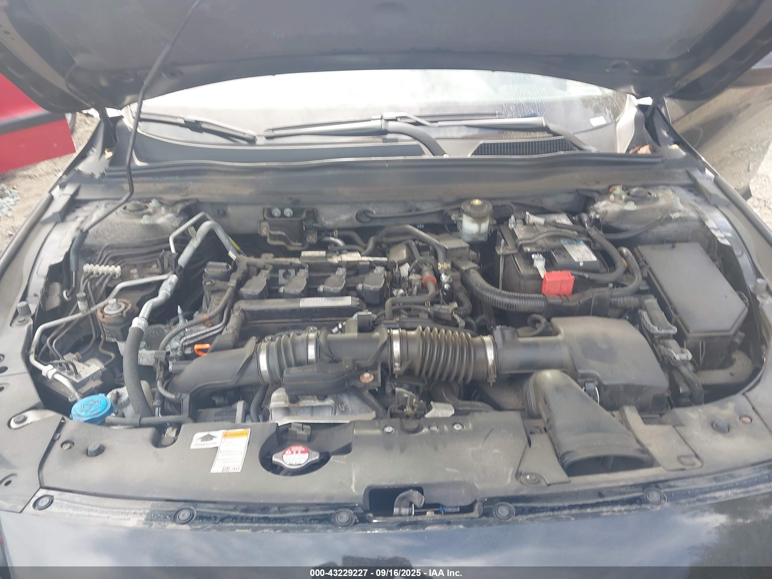 HONDA ACCORD image 10