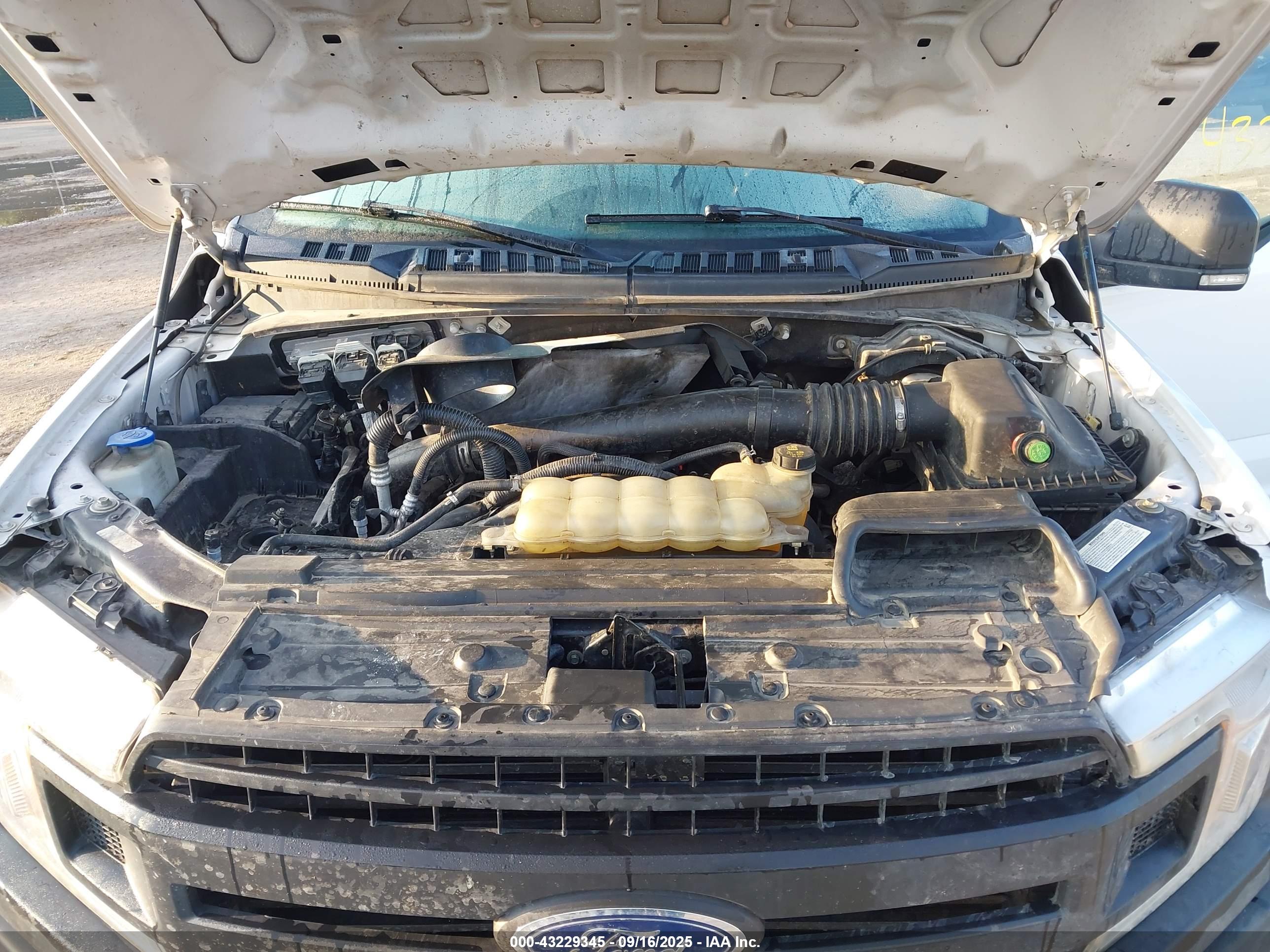 FORD F-150 image 10