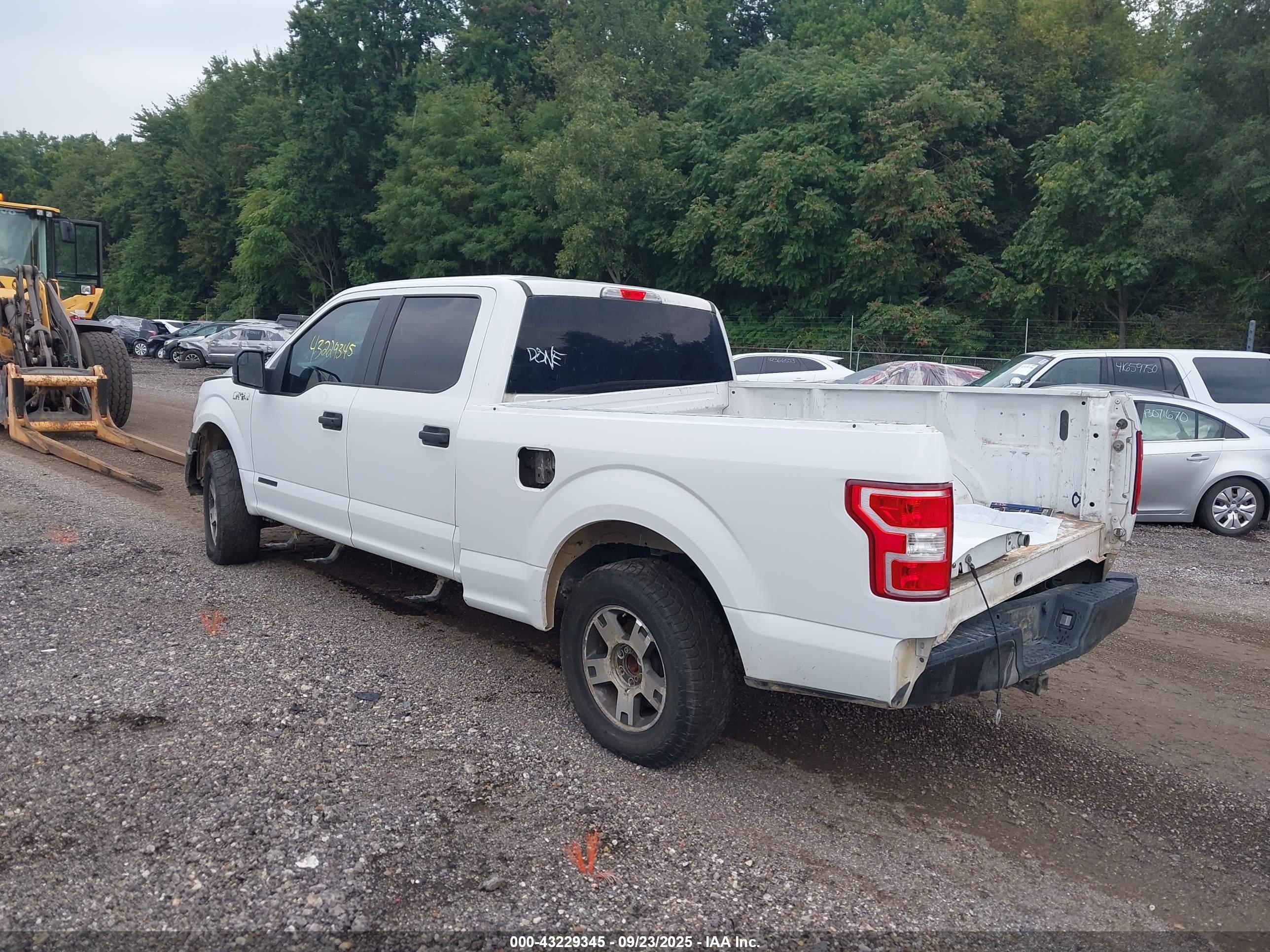 FORD F-150 image 3