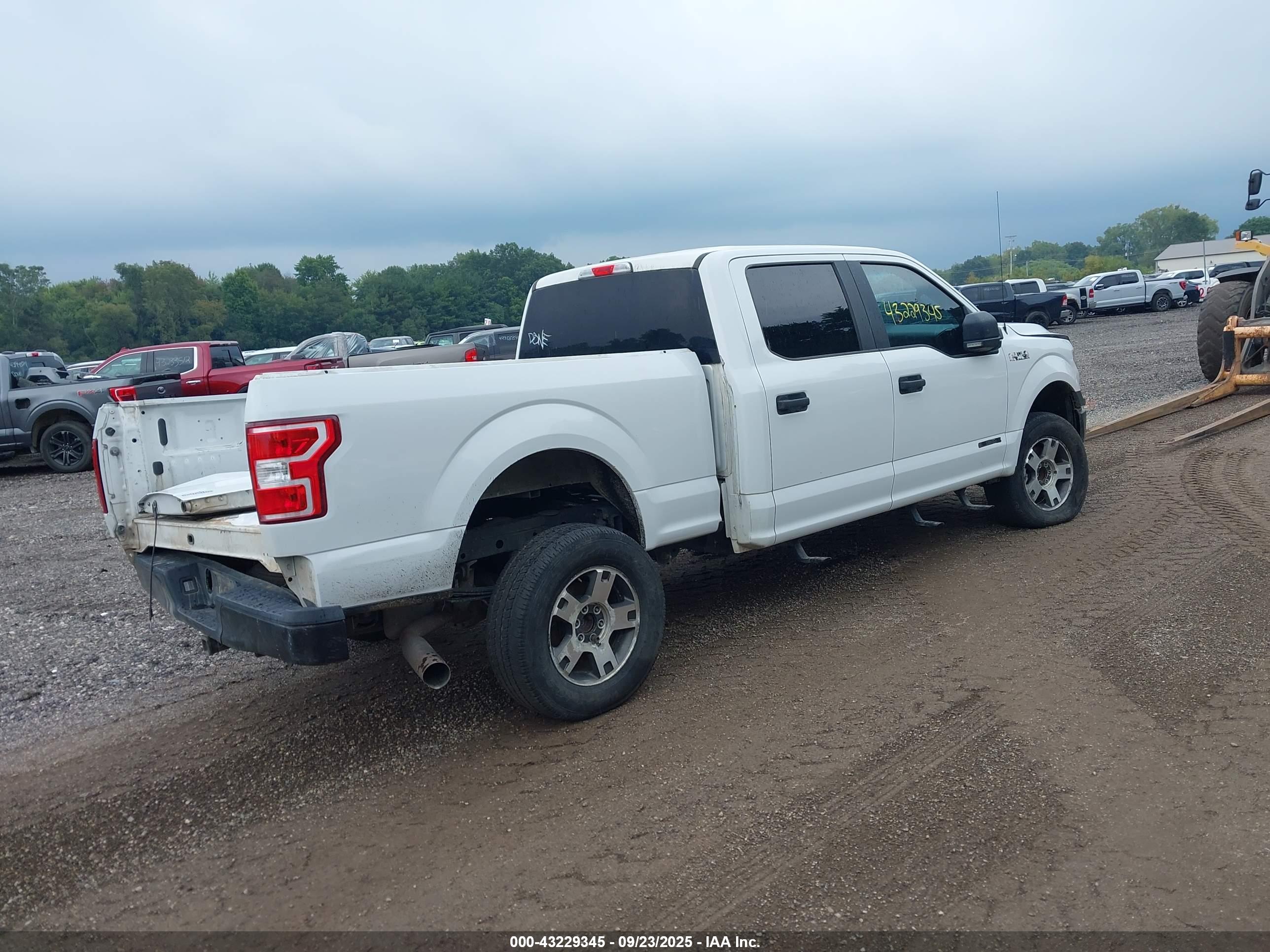 FORD F-150 image 4