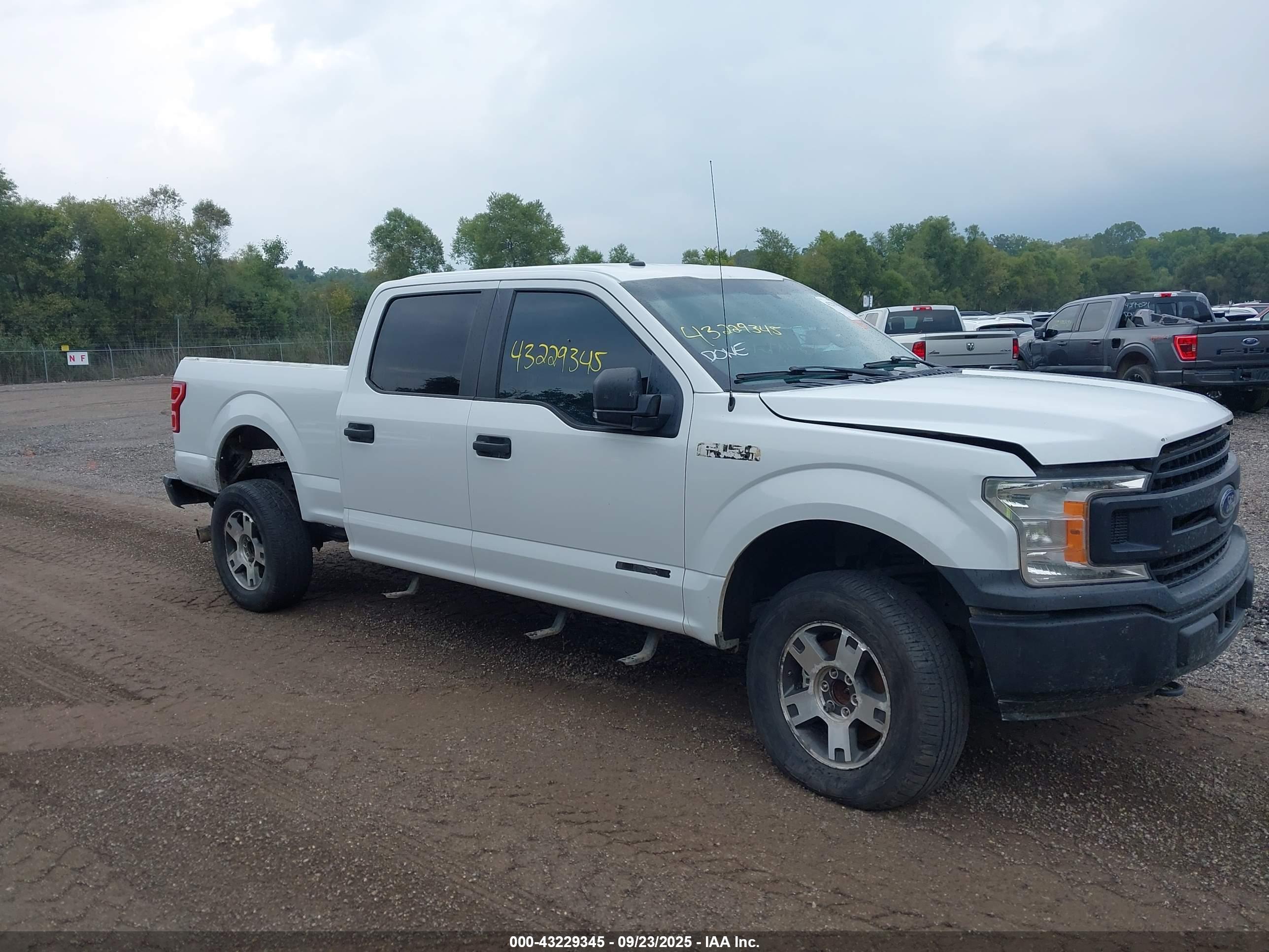 FORD F-150 image 6