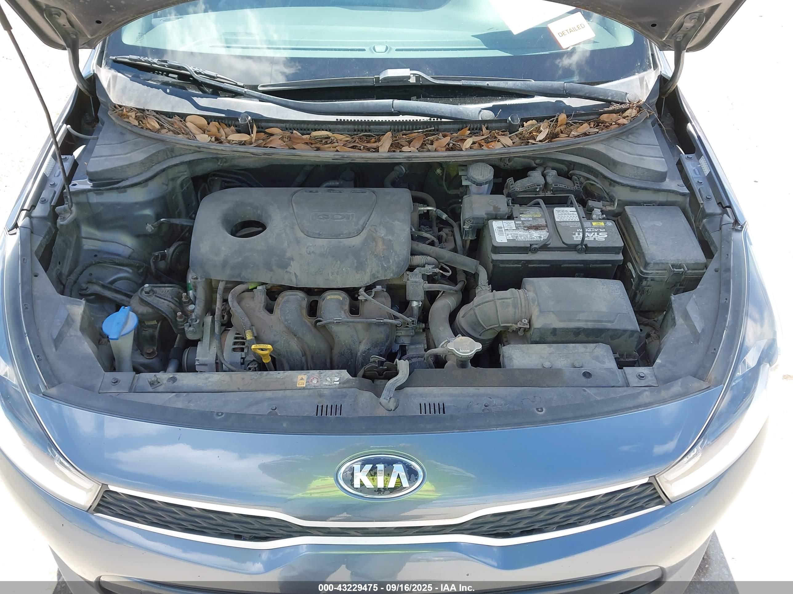 KIA RIO image 10