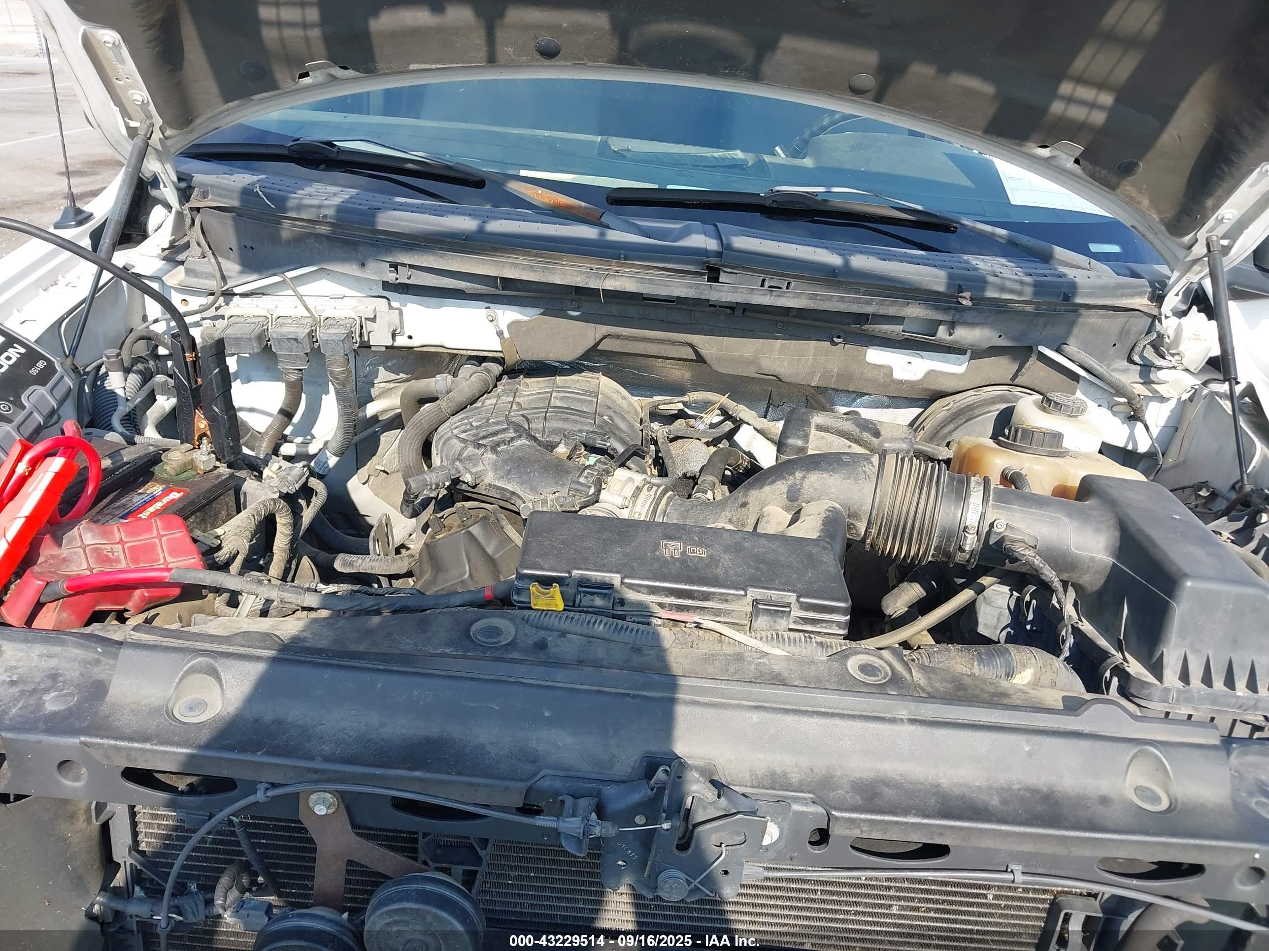 FORD F-150 image 10