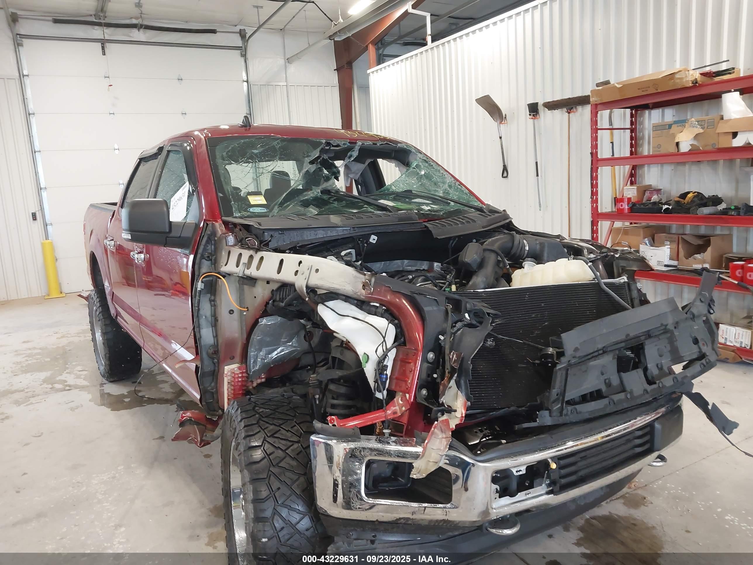 FORD F-150 image 6