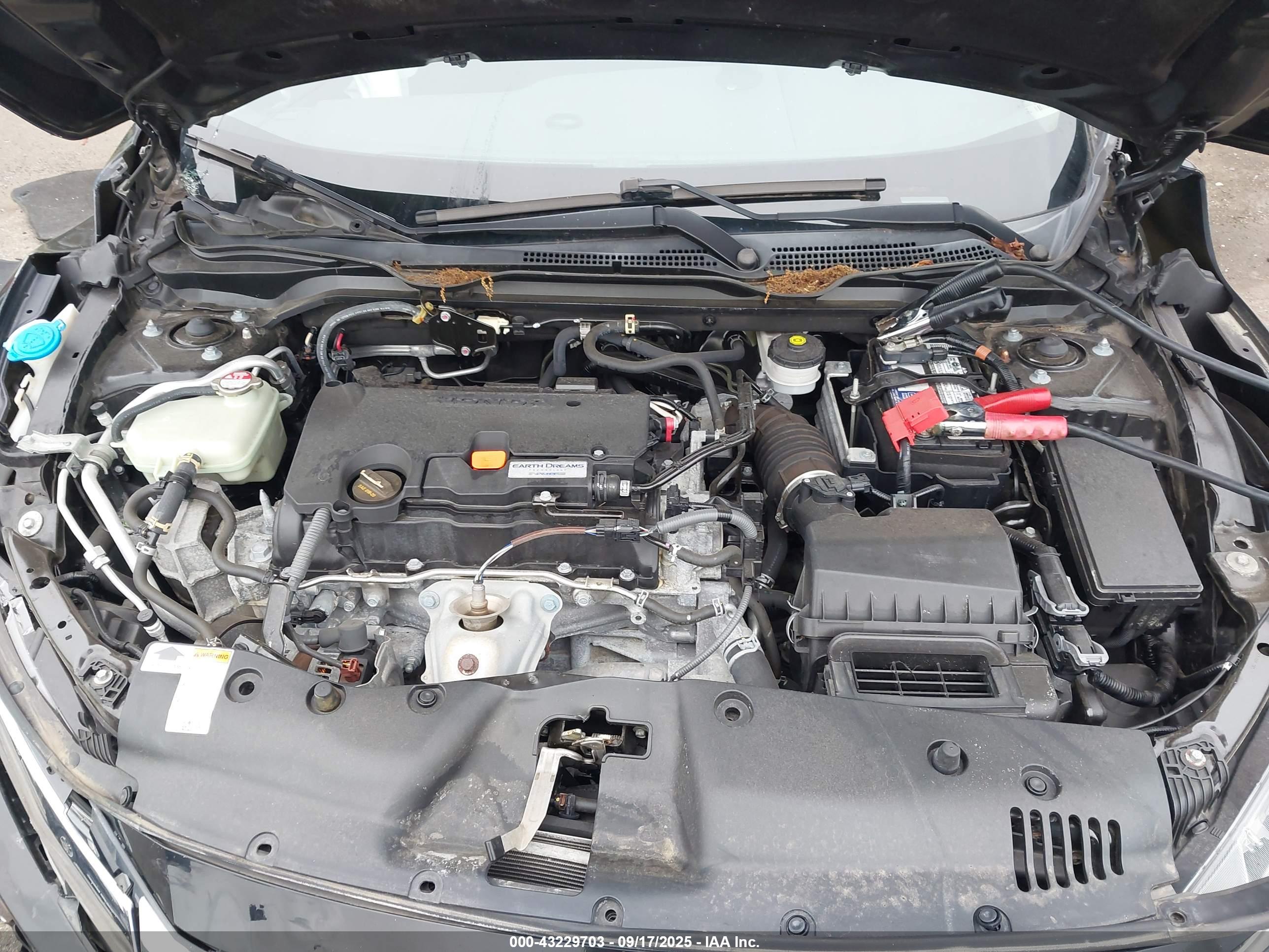 HONDA CIVIC image 10