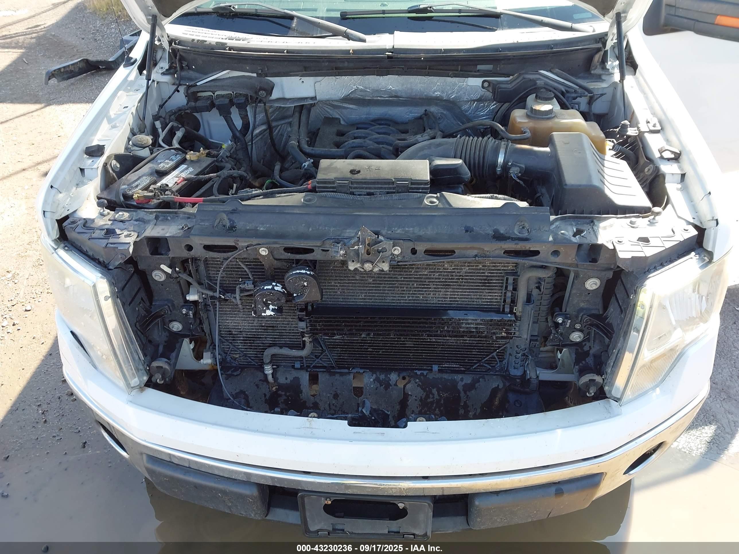 FORD F-150 image 10