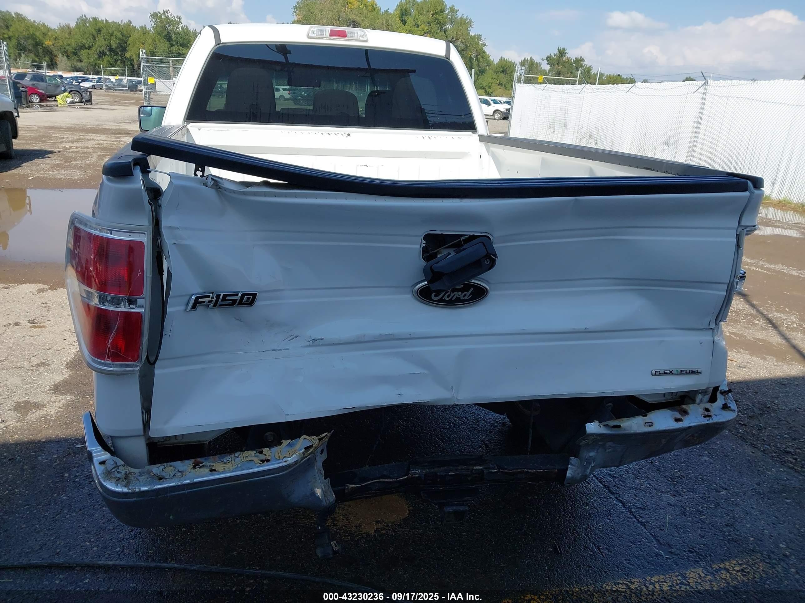 FORD F-150 image 6