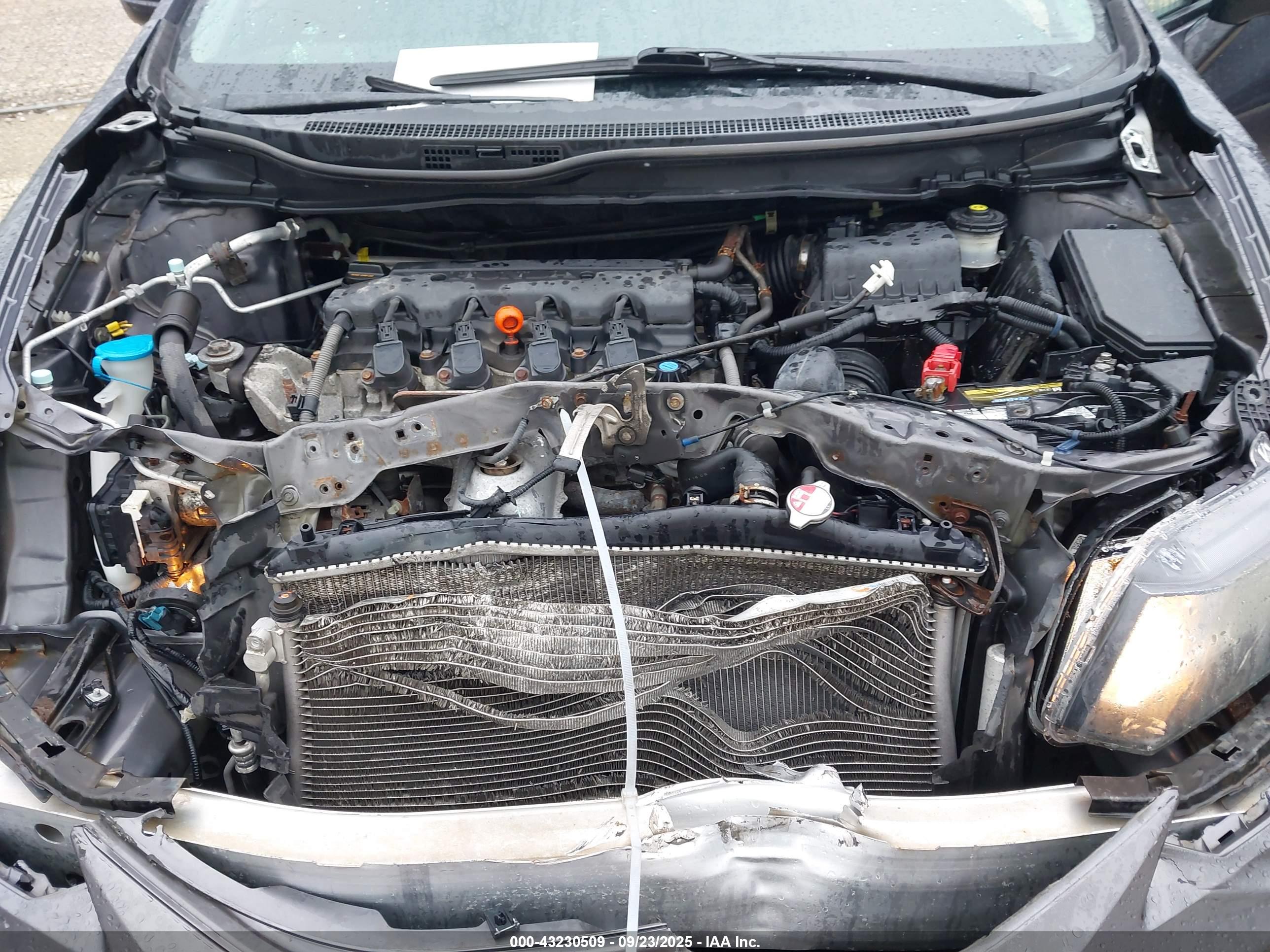 HONDA CIVIC image 10