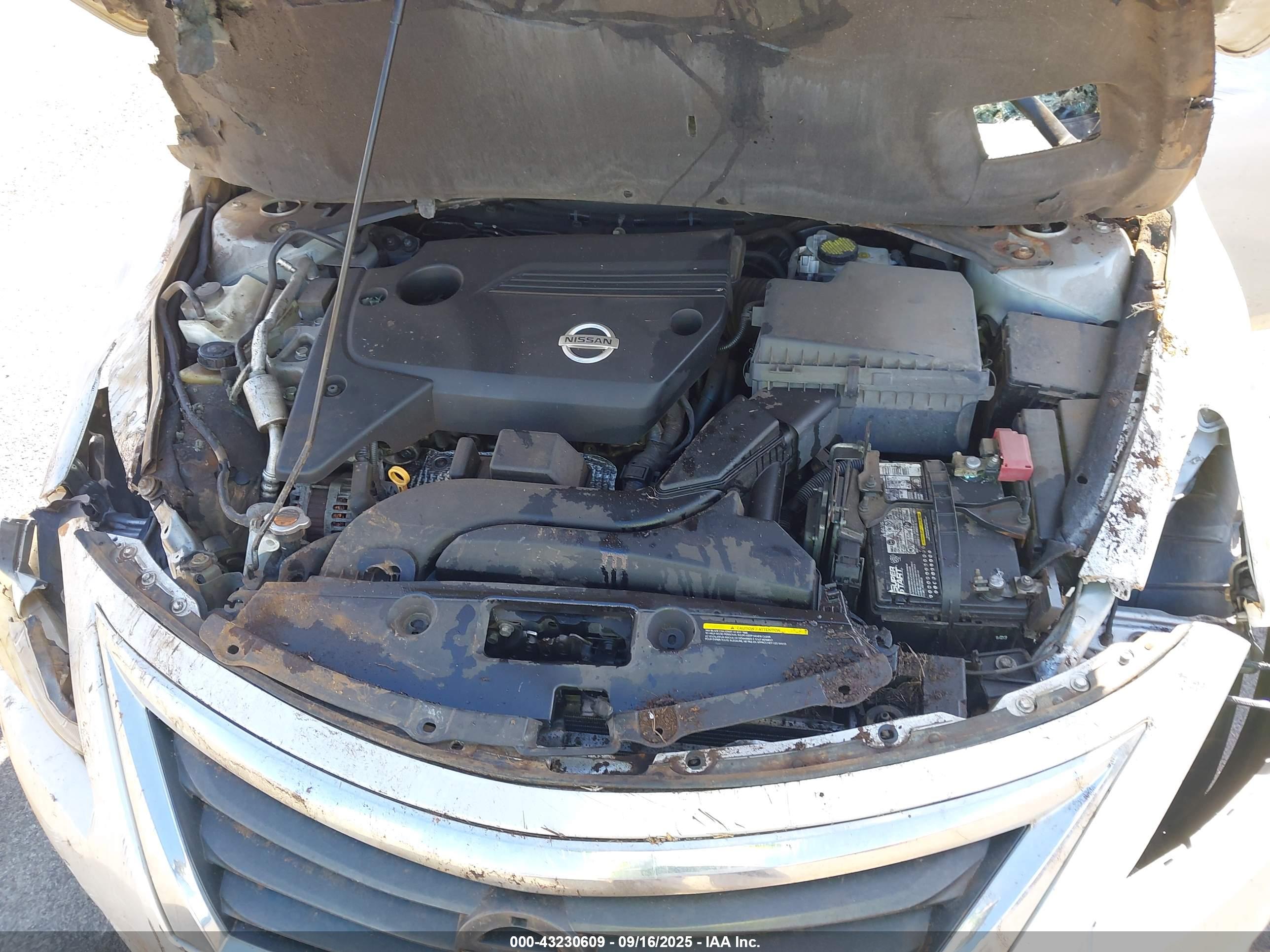NISSAN ALTIMA image 10