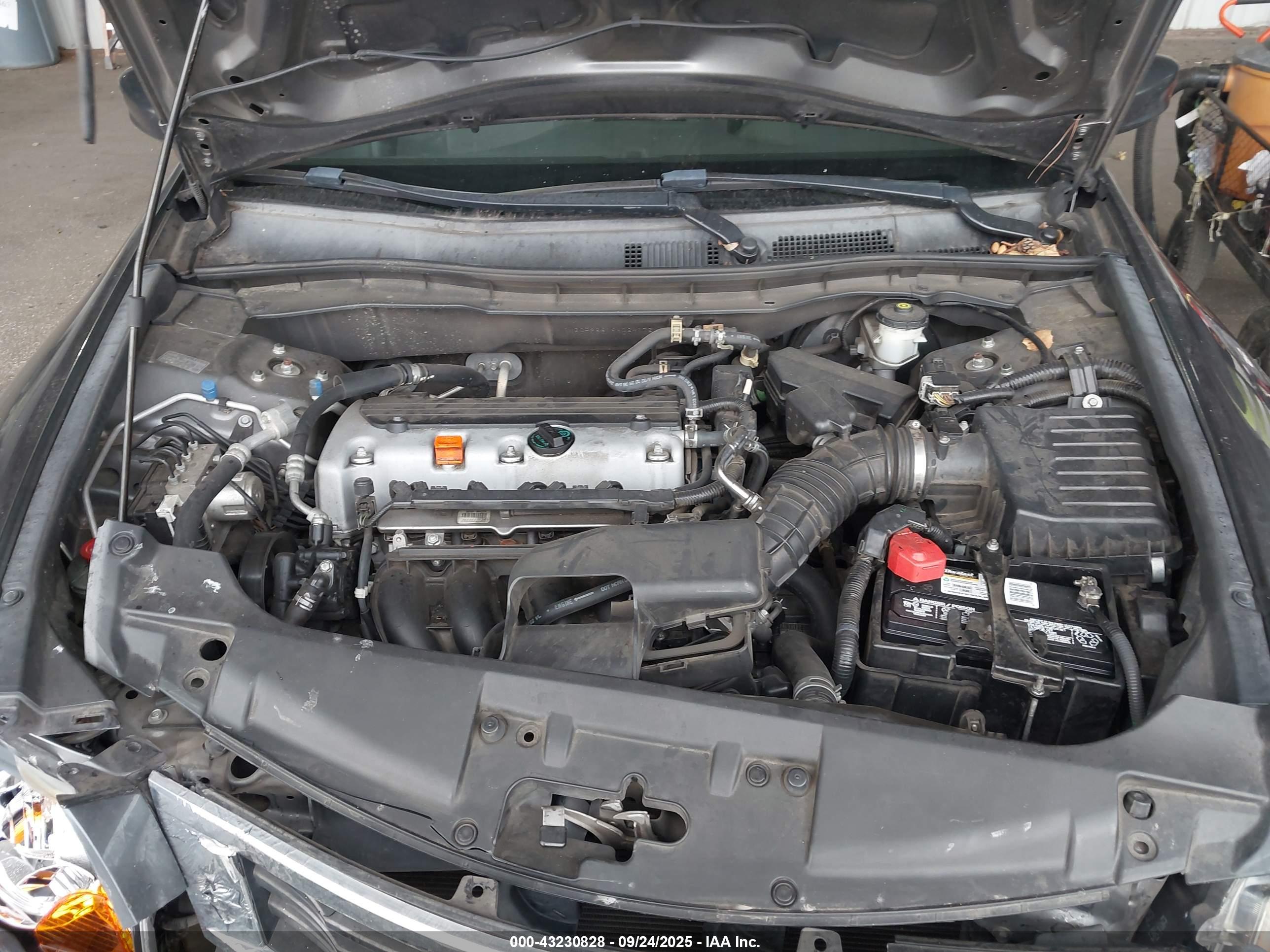 HONDA ACCORD image 10