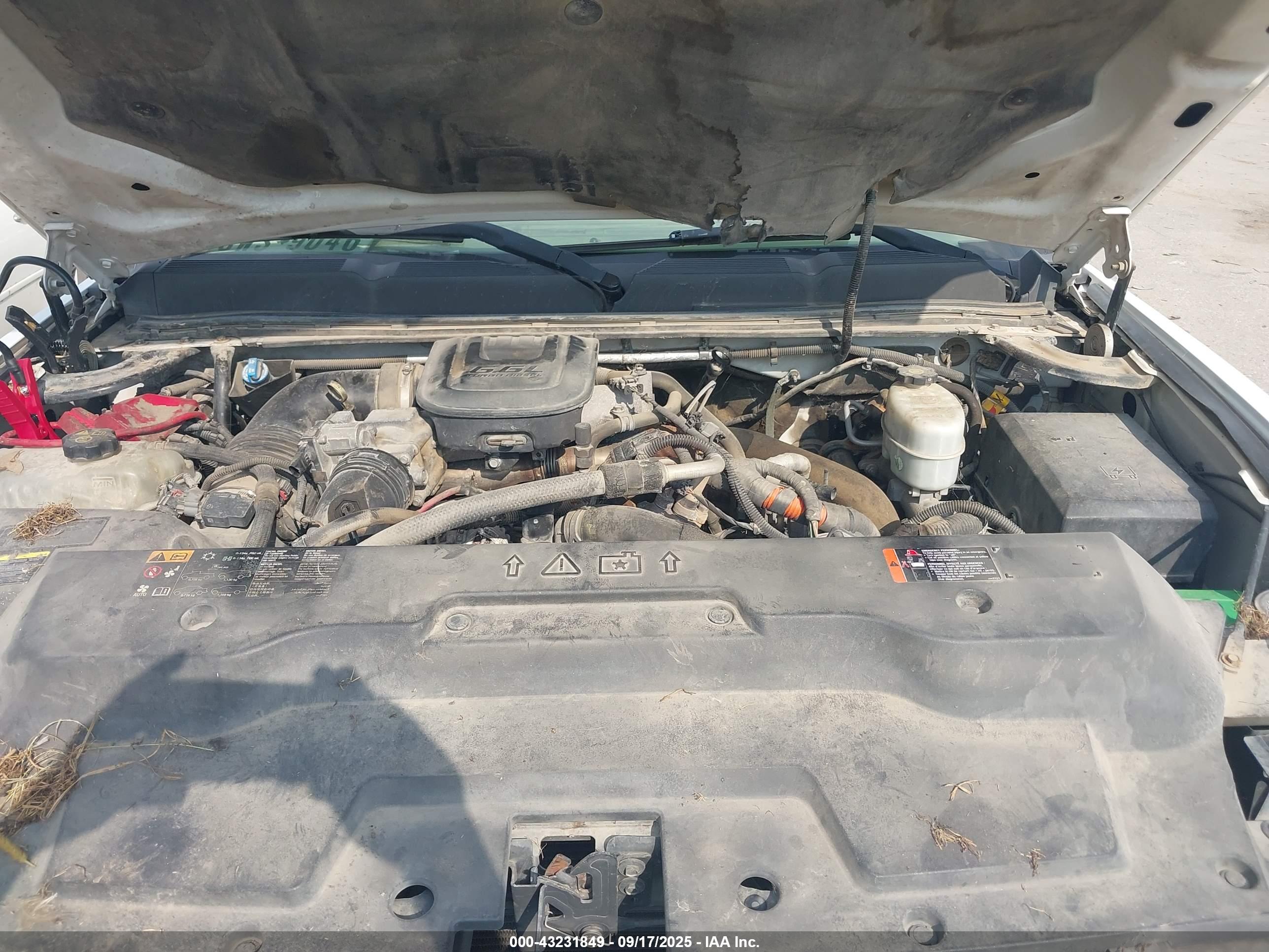 CHEVROLET SILVERADO image 10