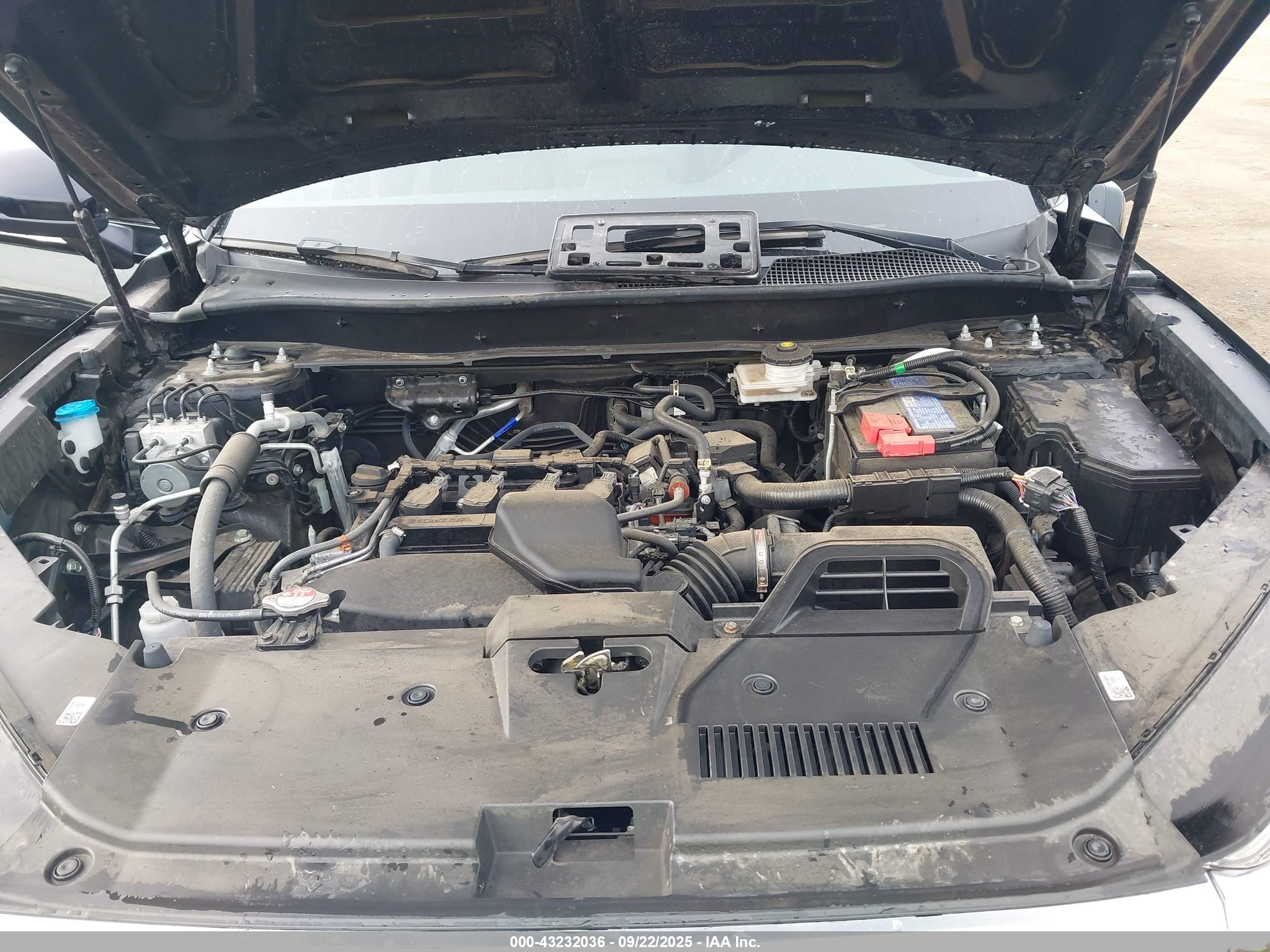HONDA CR-V image 10