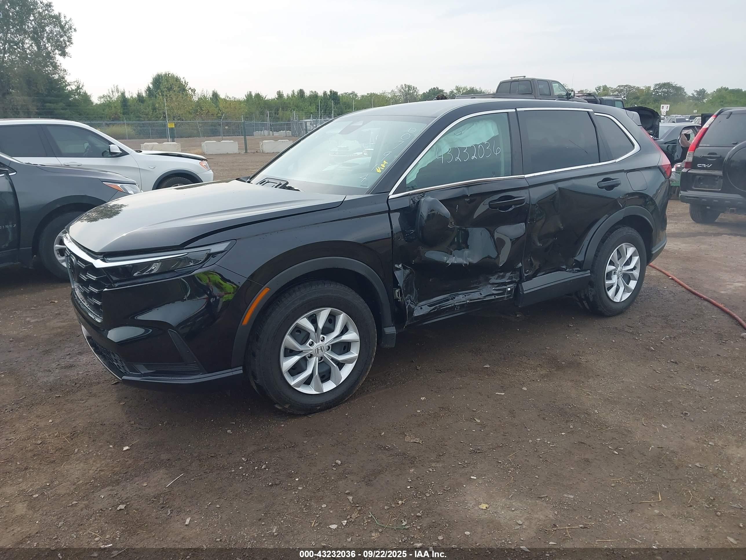 HONDA CR-V image 2