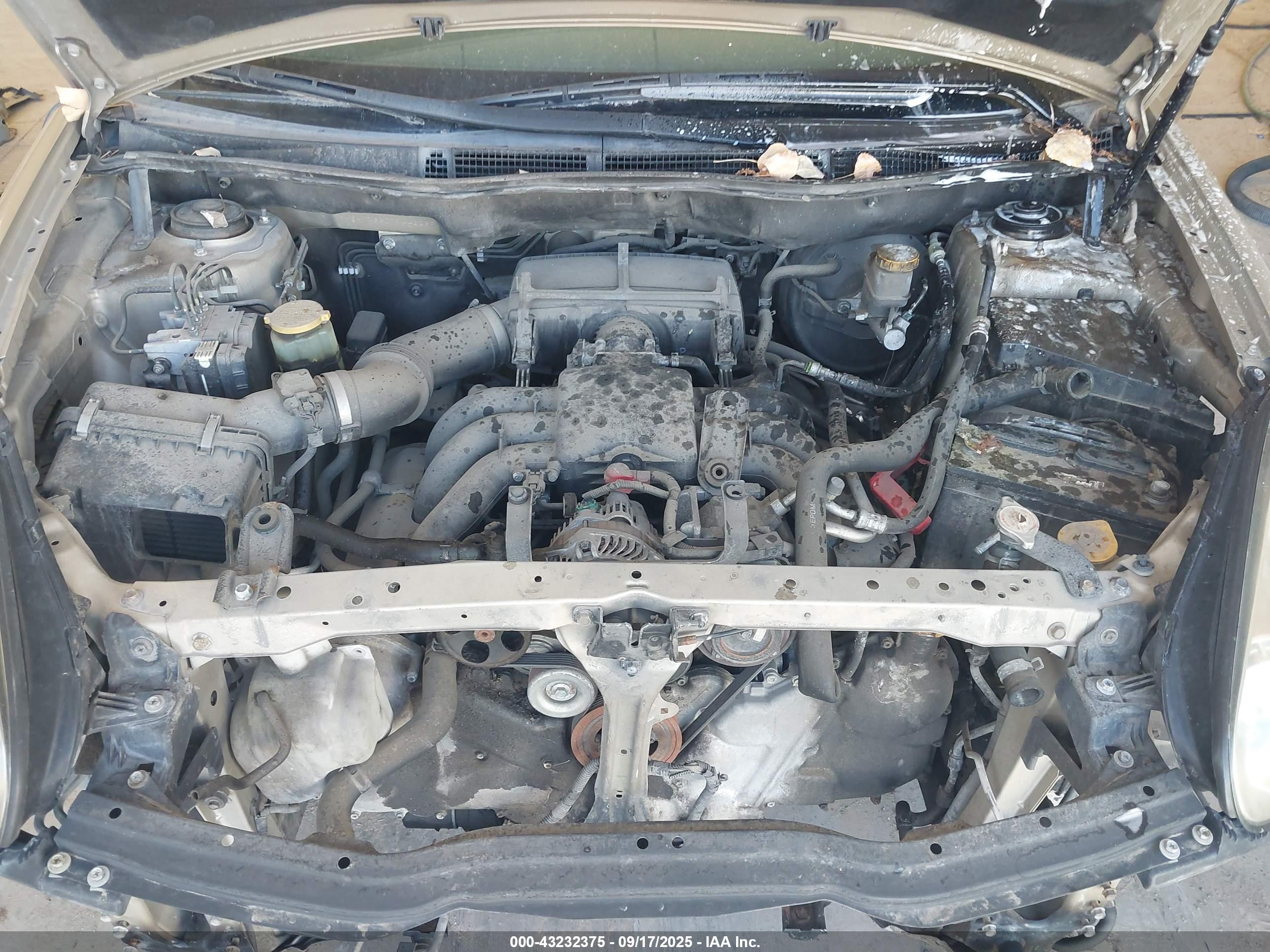 SUBARU B9 image 10