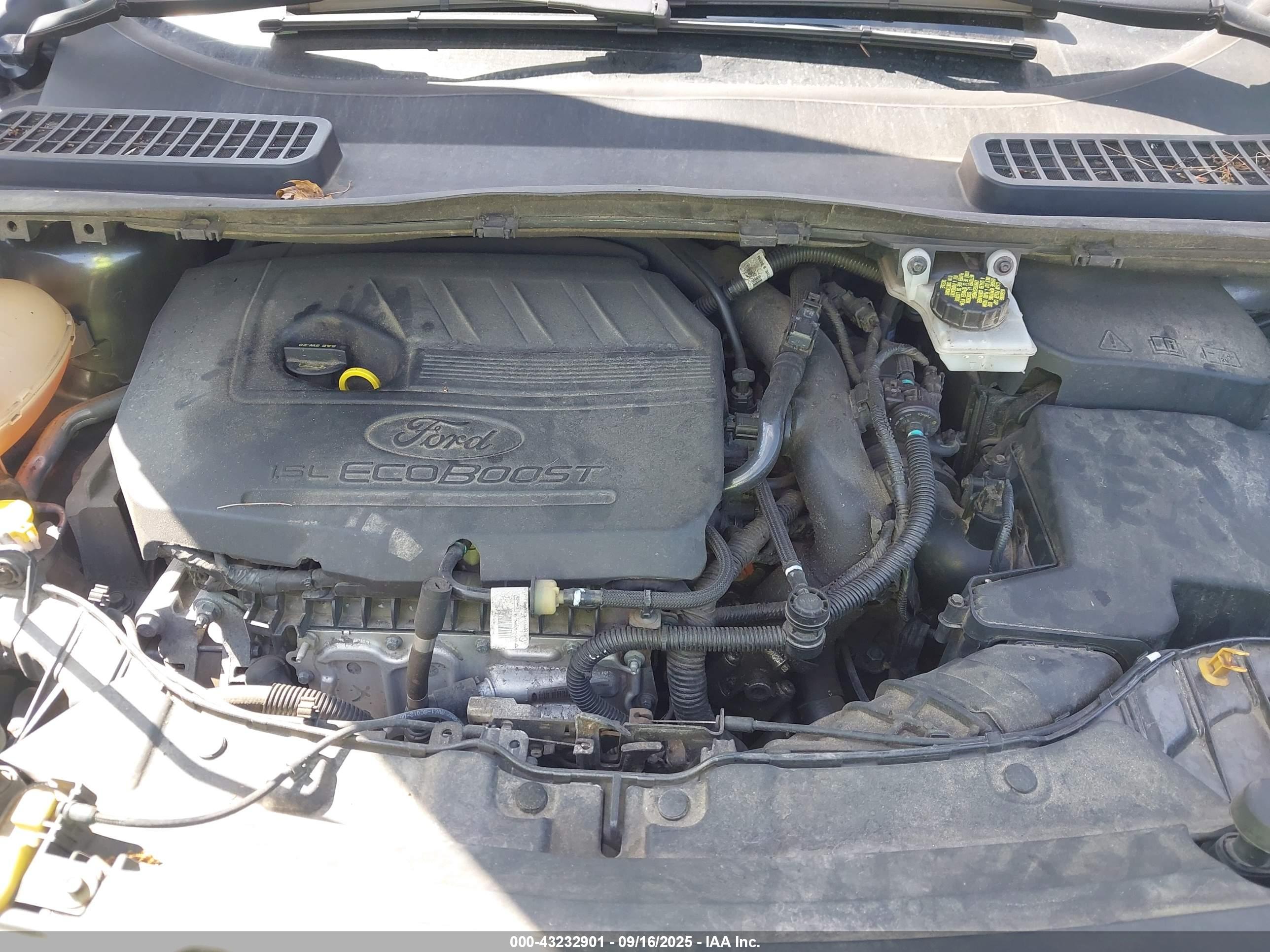 FORD ESCAPE image 10