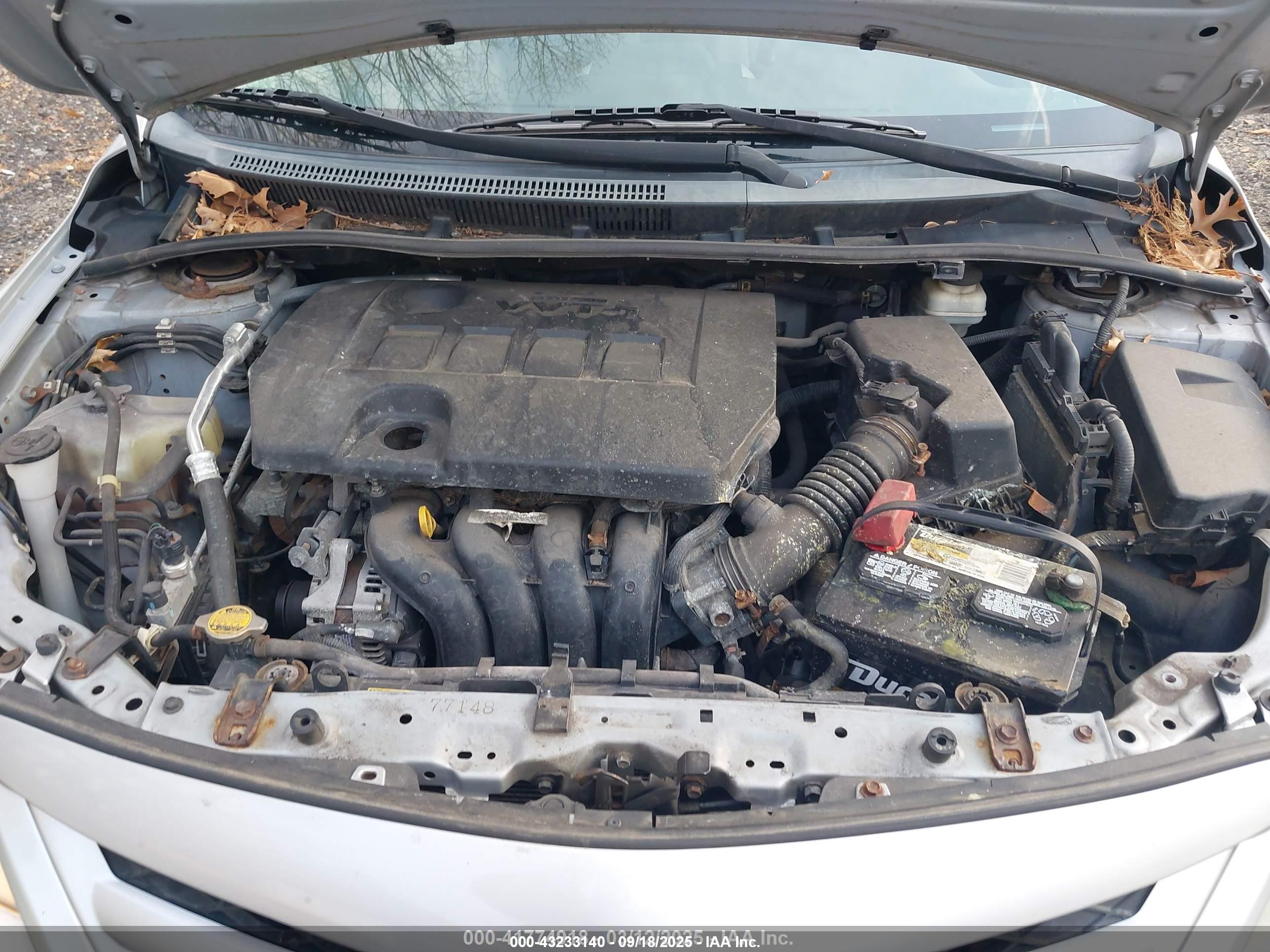 TOYOTA COROLLA image 10