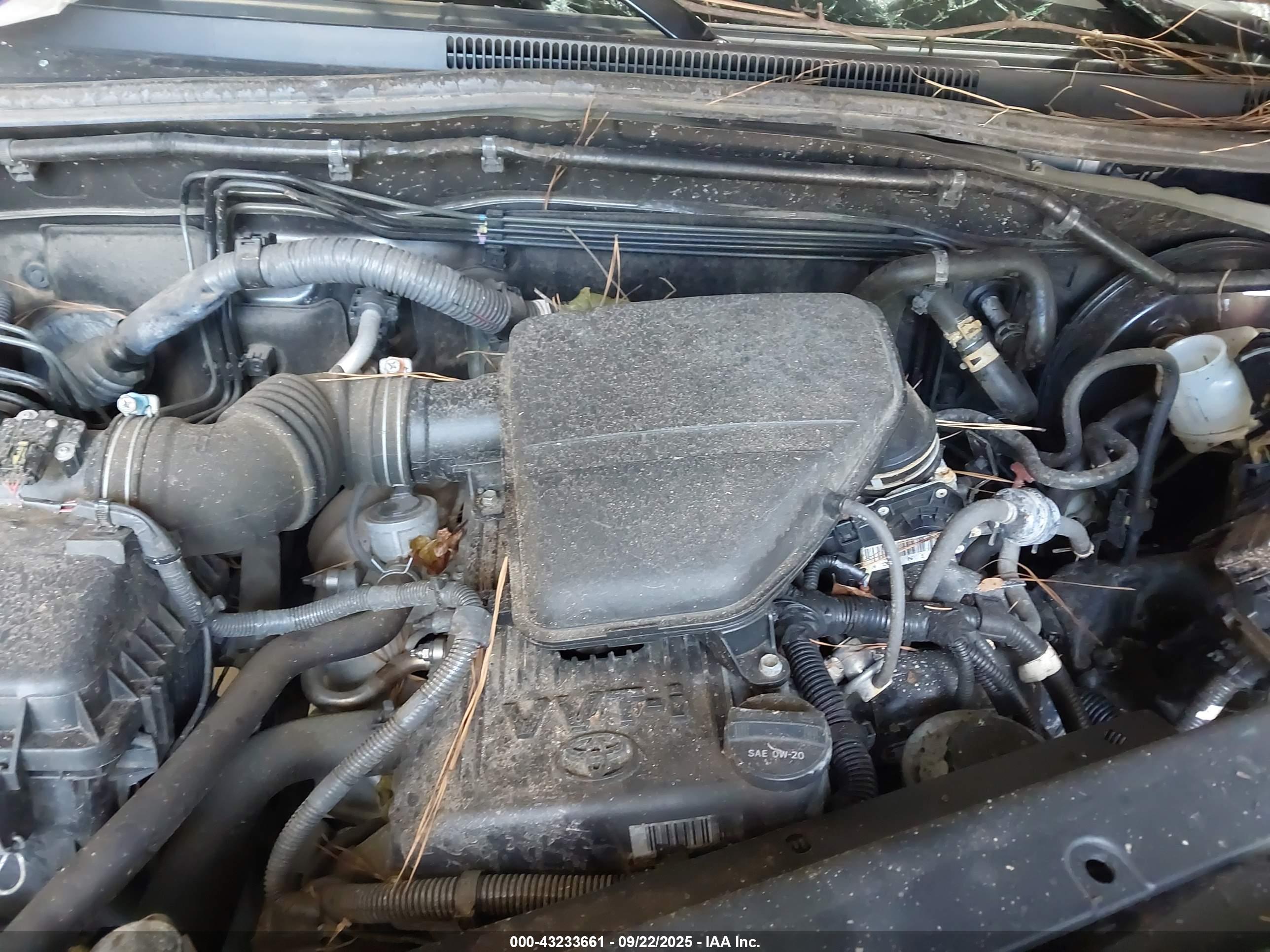 TOYOTA TACOMA image 10