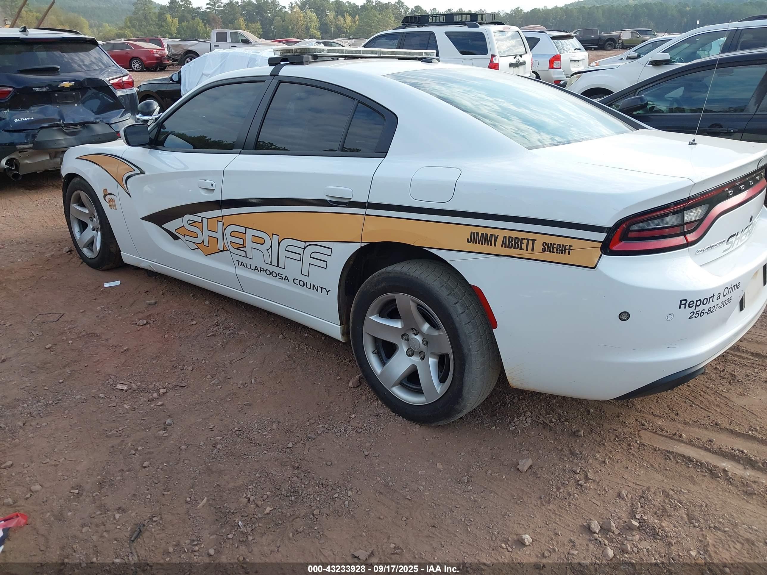 DODGE CHARGER image 3