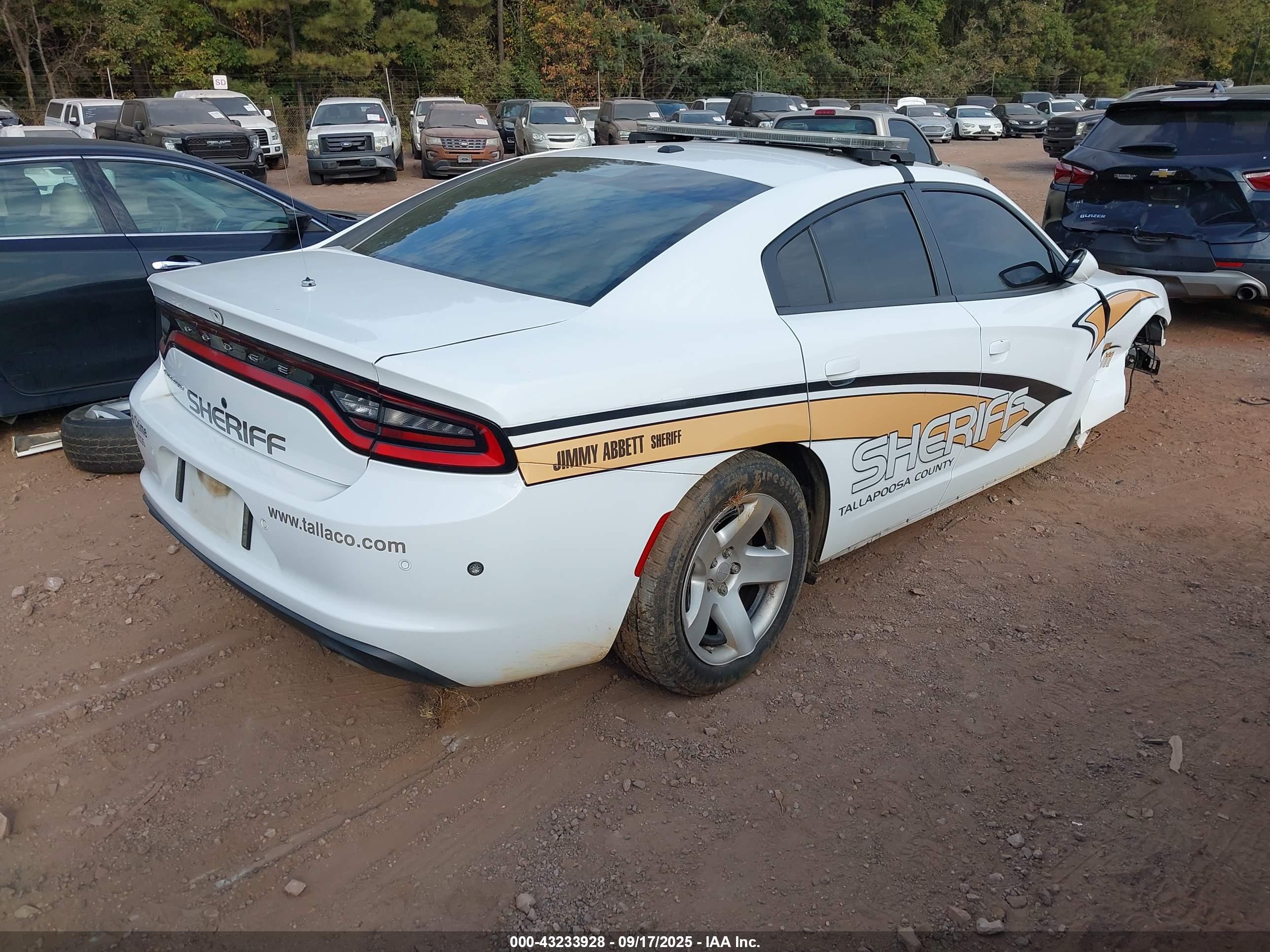 DODGE CHARGER image 4