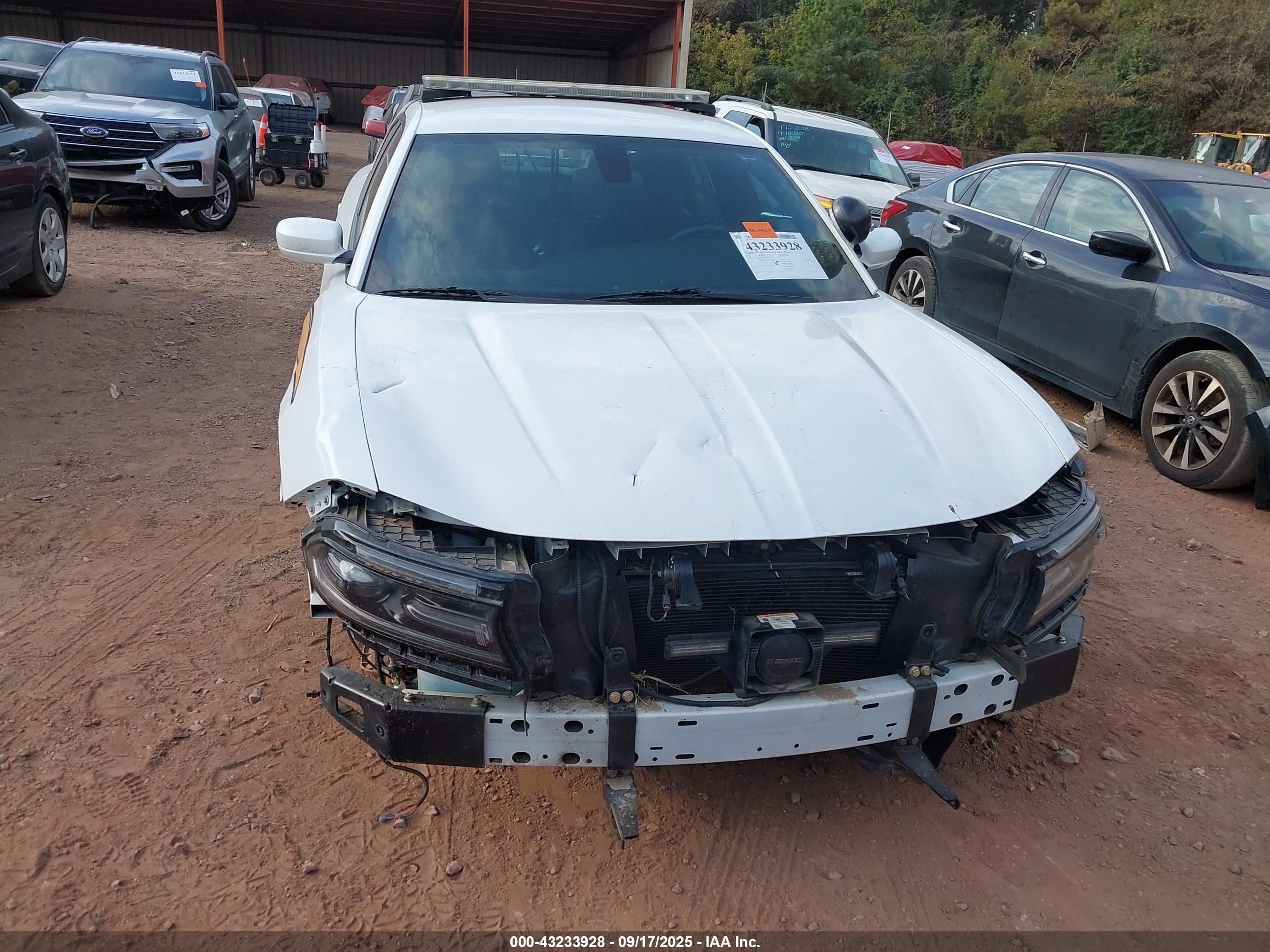 DODGE CHARGER image 6