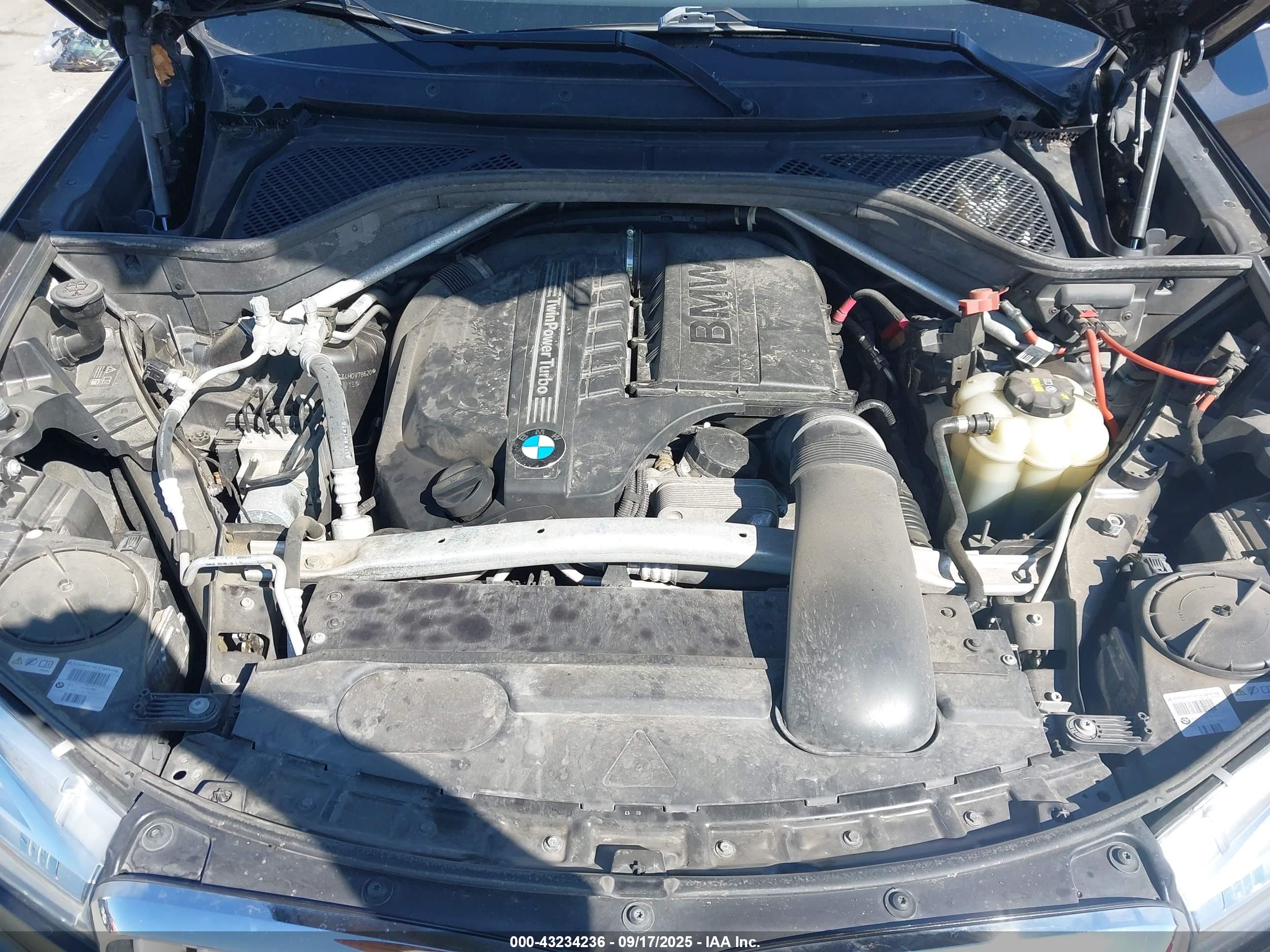 BMW X5 image 10