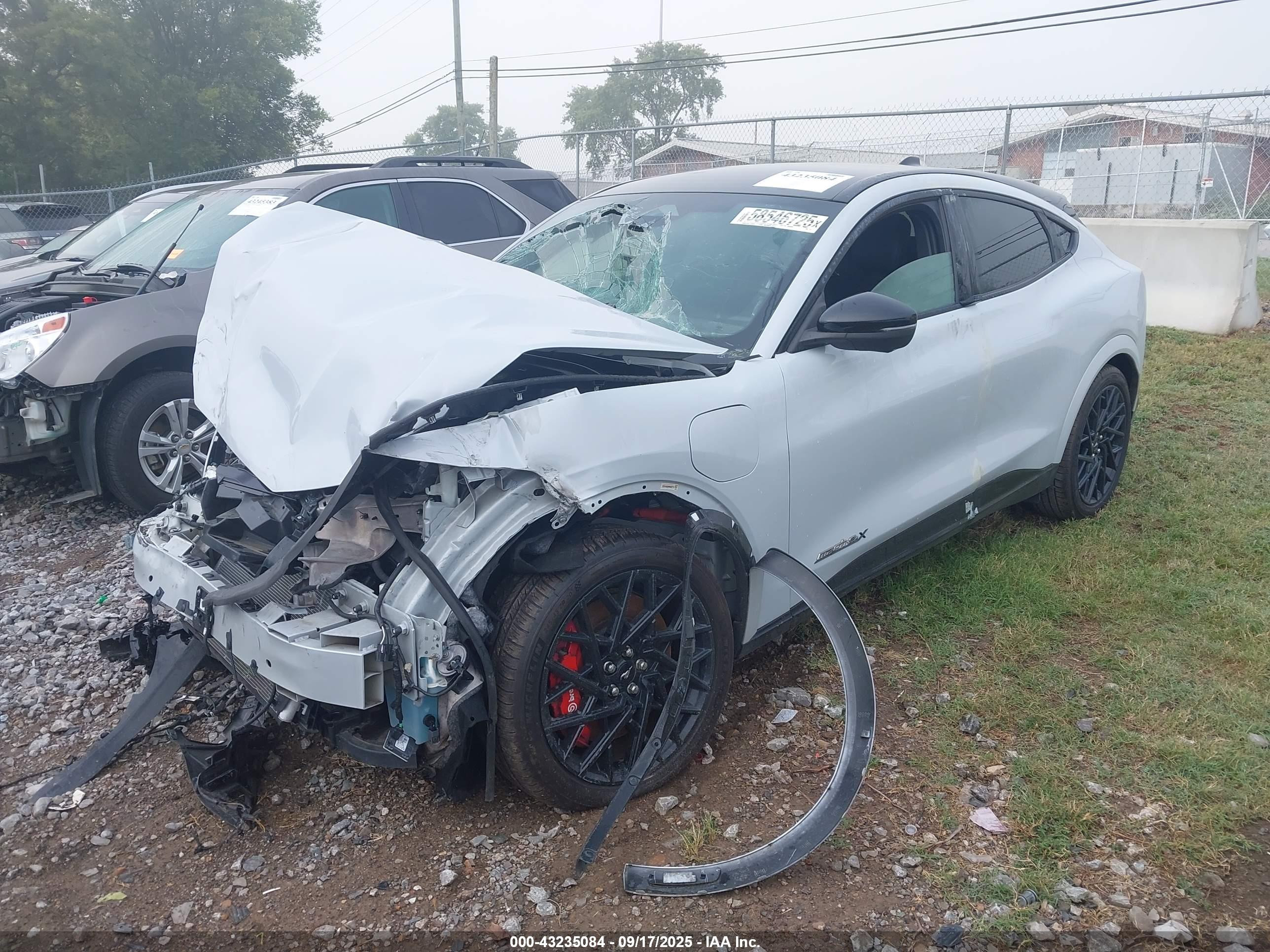 FORD MUSTANG image 2