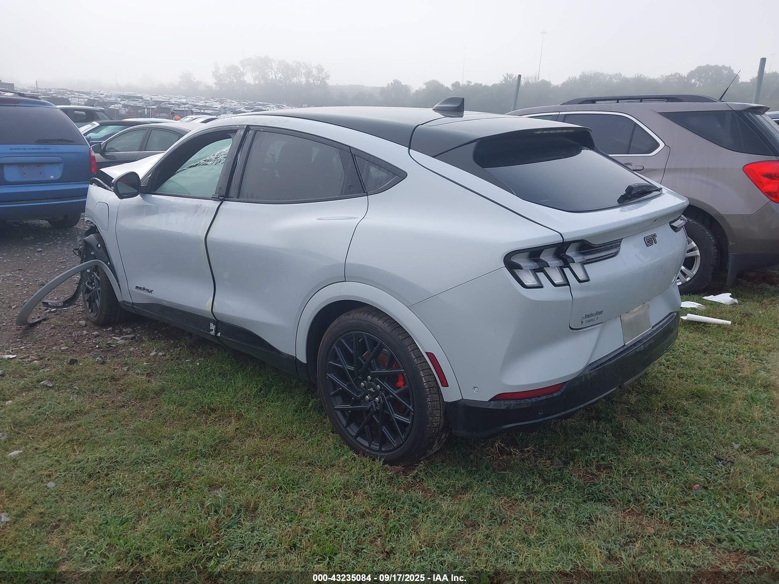FORD MUSTANG image 3