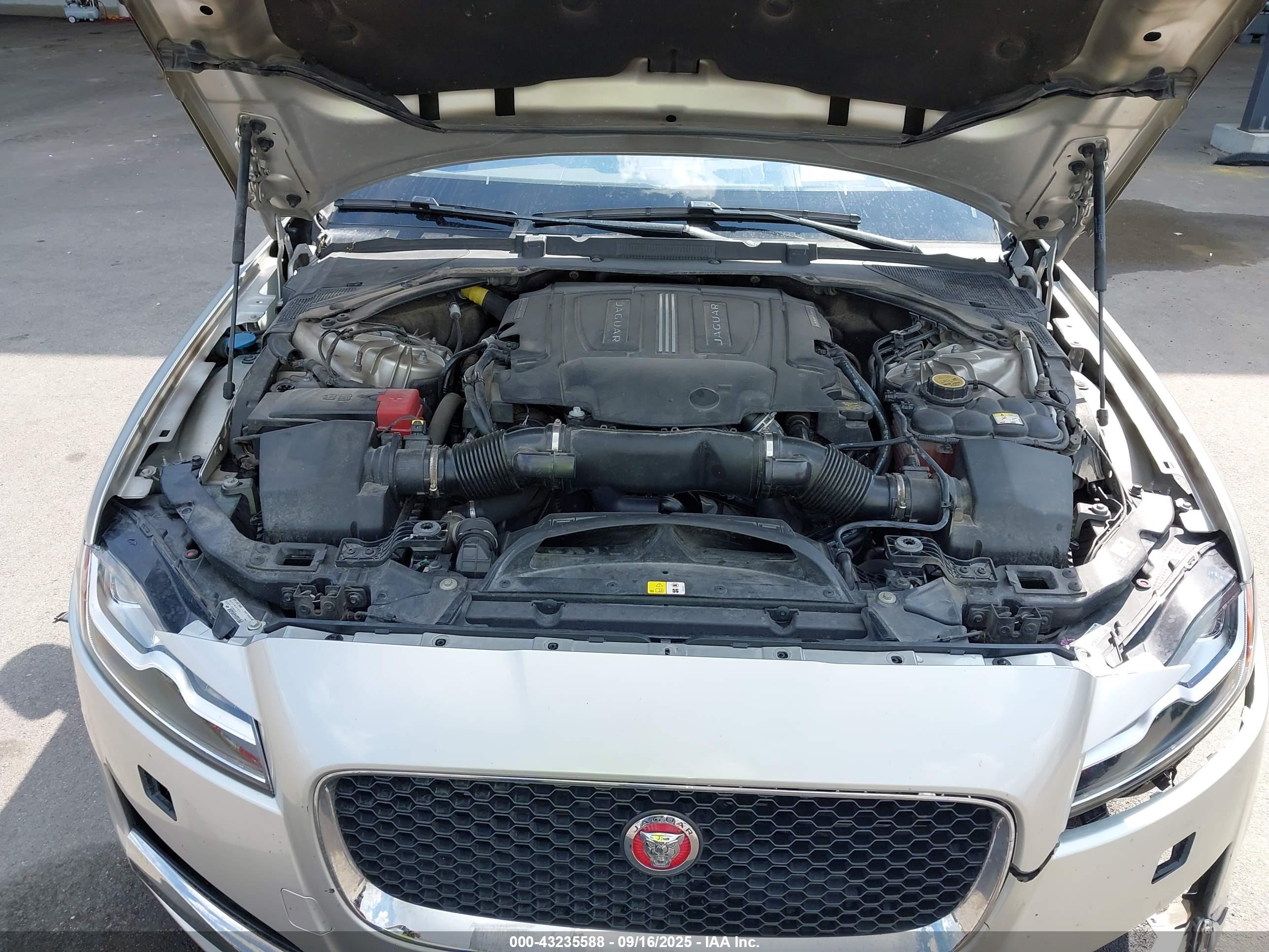 JAGUAR XF image 10