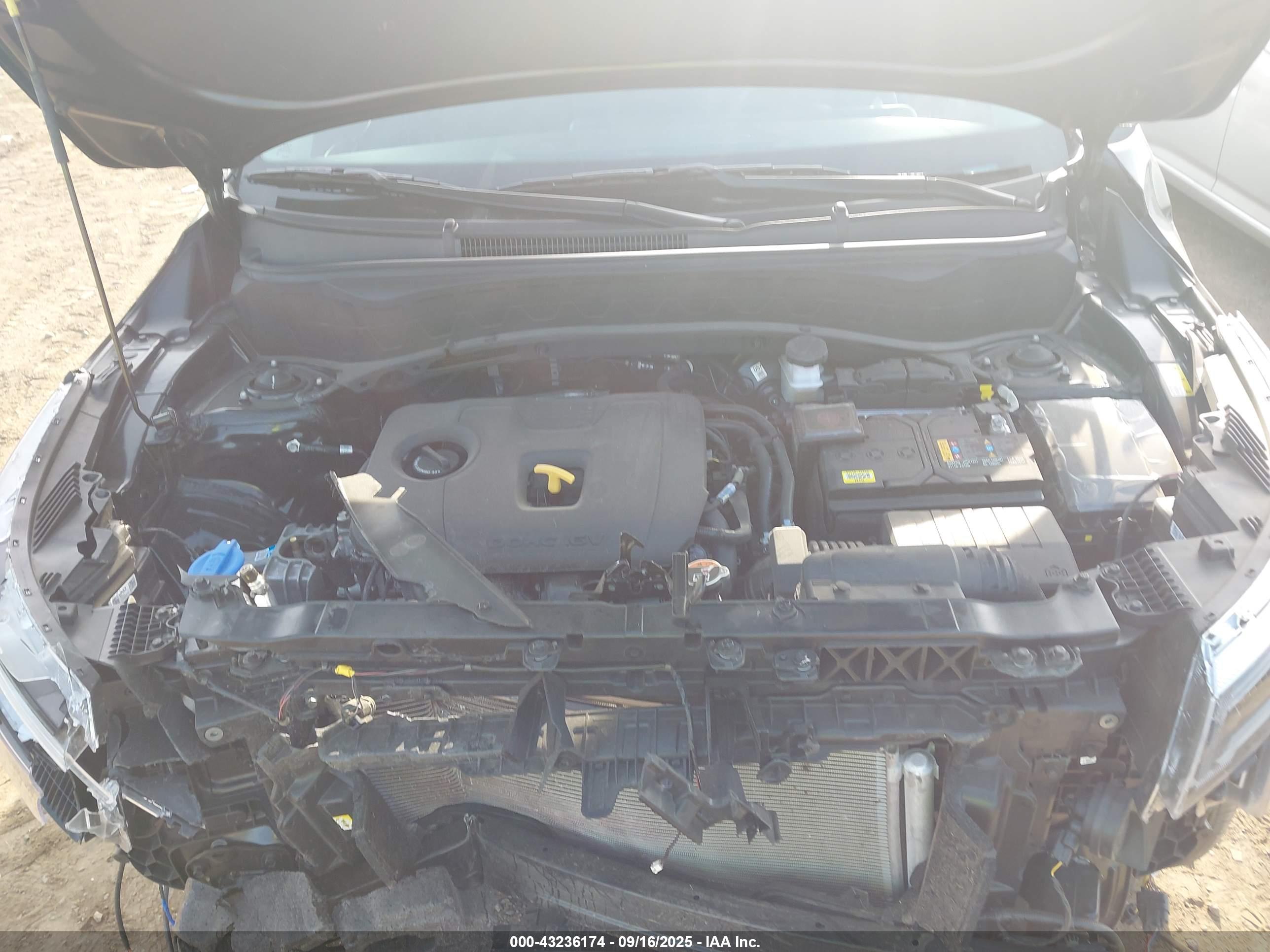 KIA SELTOS image 10