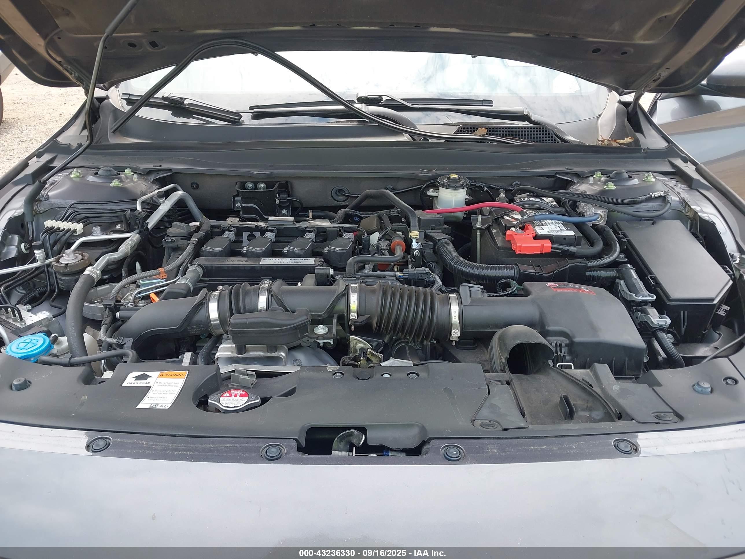 HONDA ACCORD image 10
