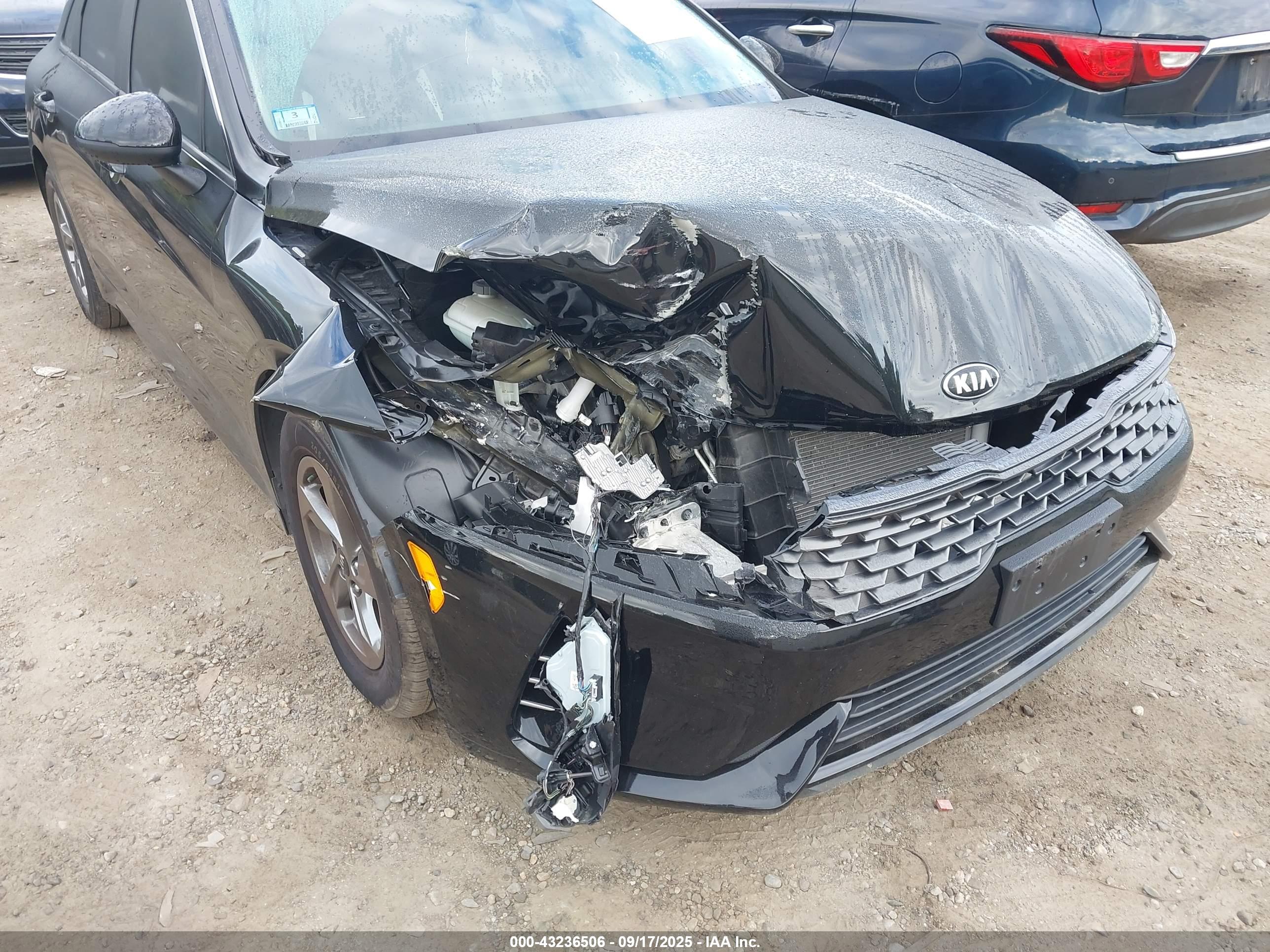 KIA K5 image 6