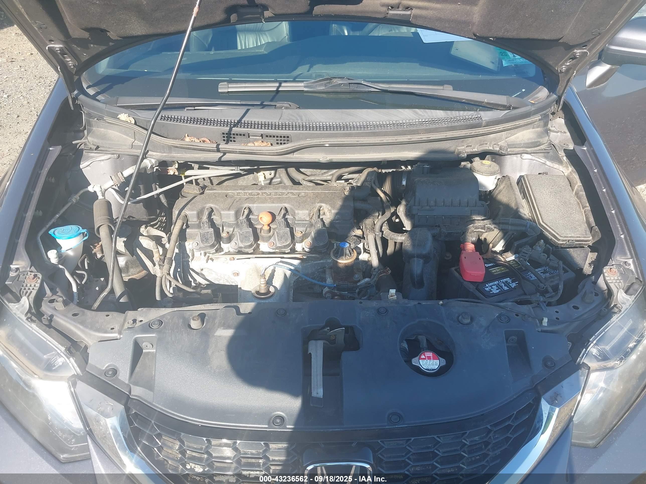 HONDA CIVIC image 10