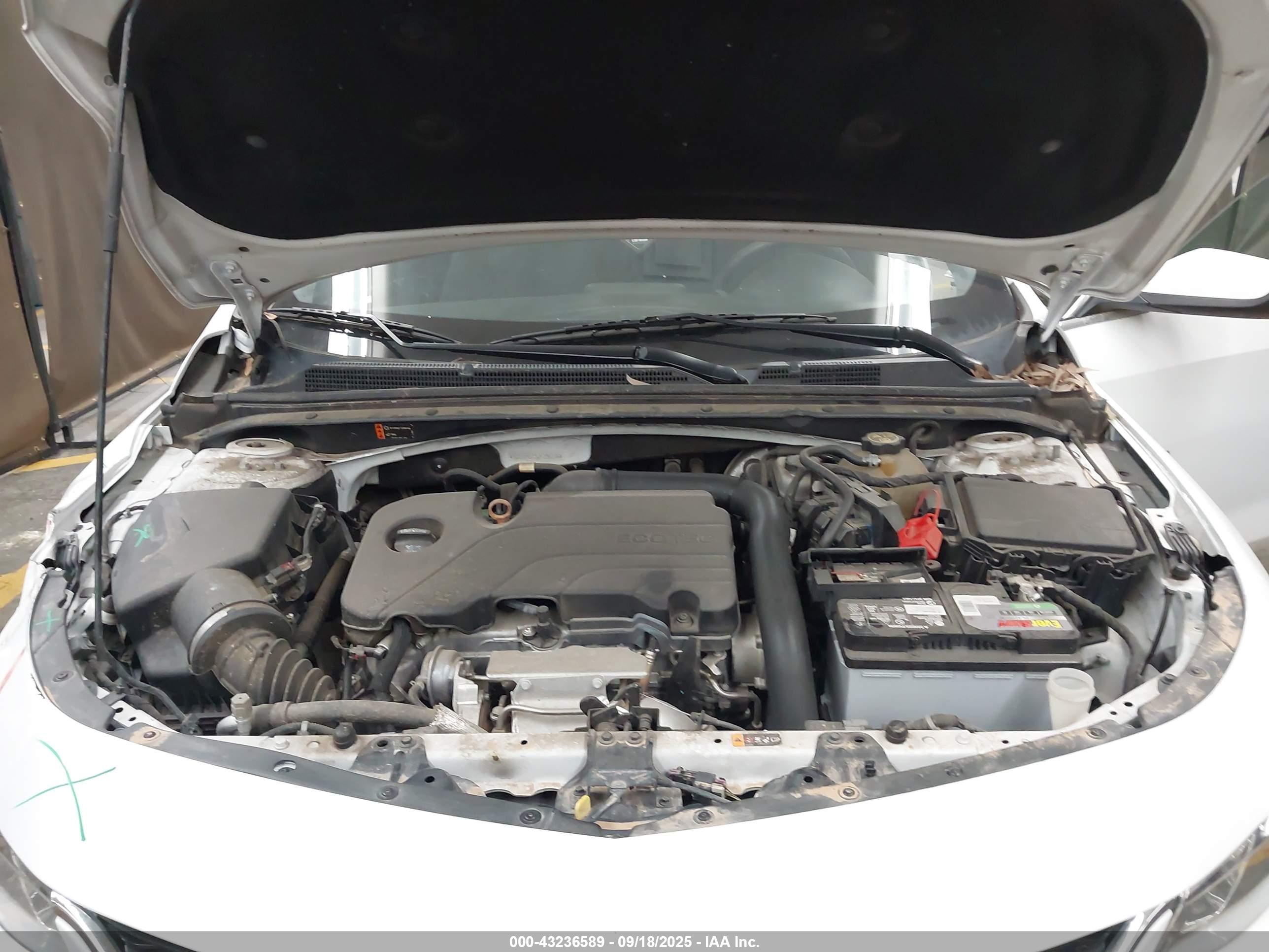 CHEVROLET MALIBU image 10