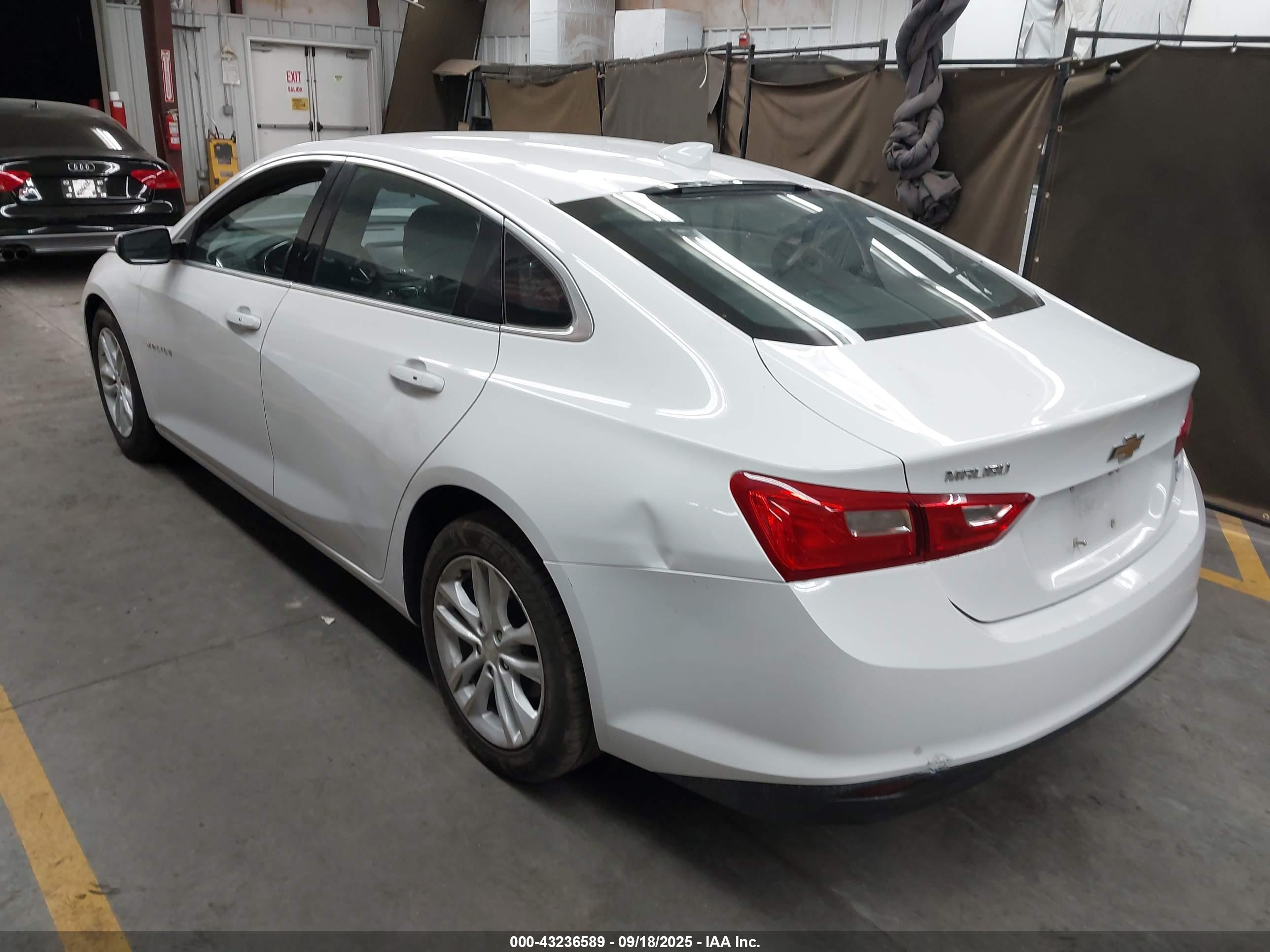 CHEVROLET MALIBU image 3