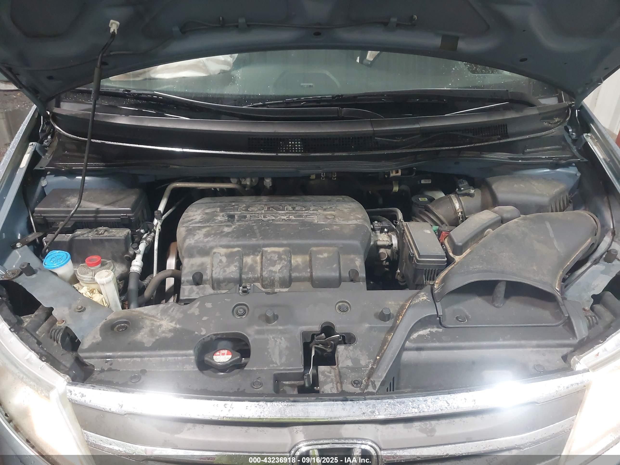 HONDA ODYSSEY image 10