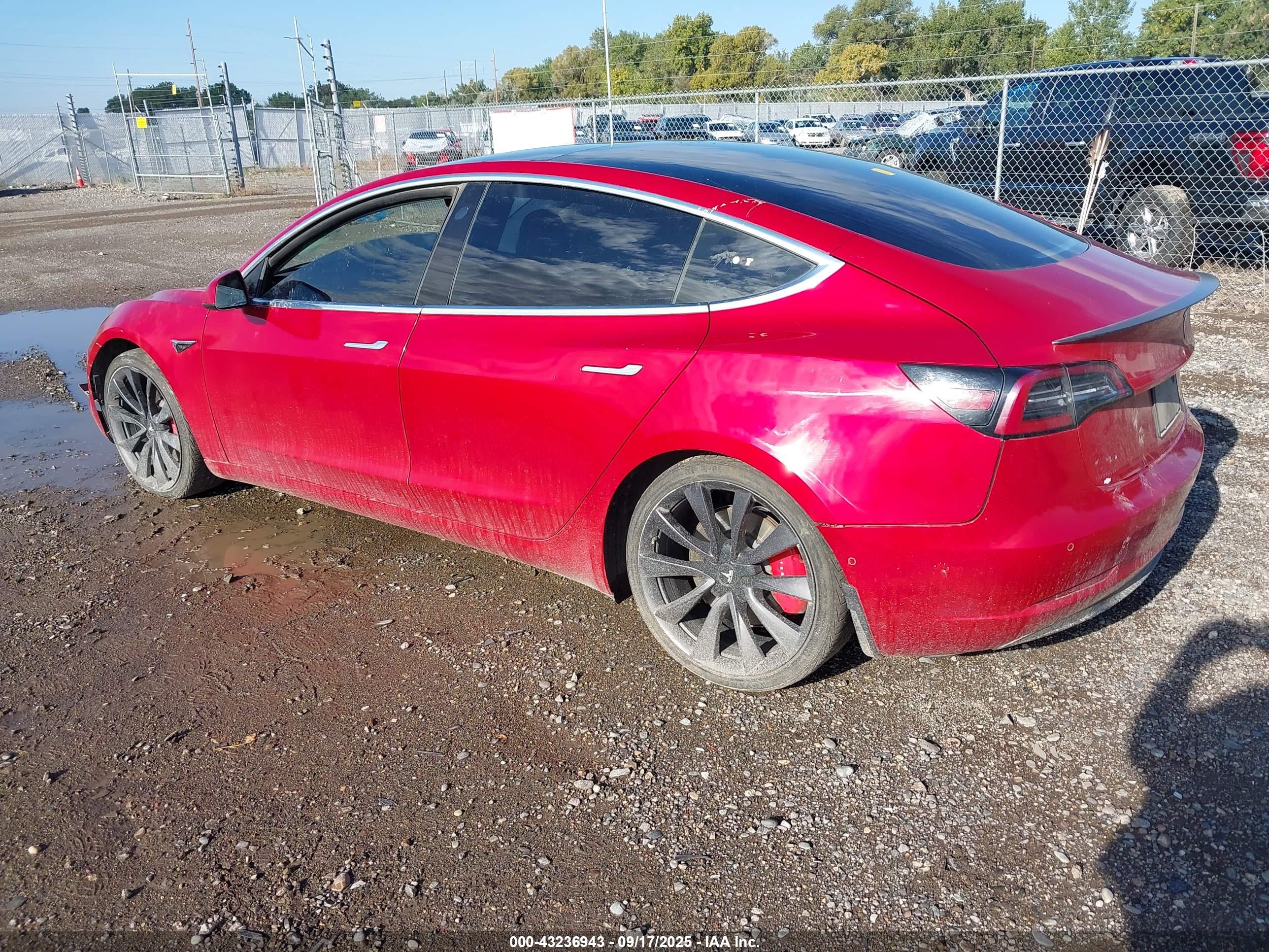 TESLA MODEL image 3
