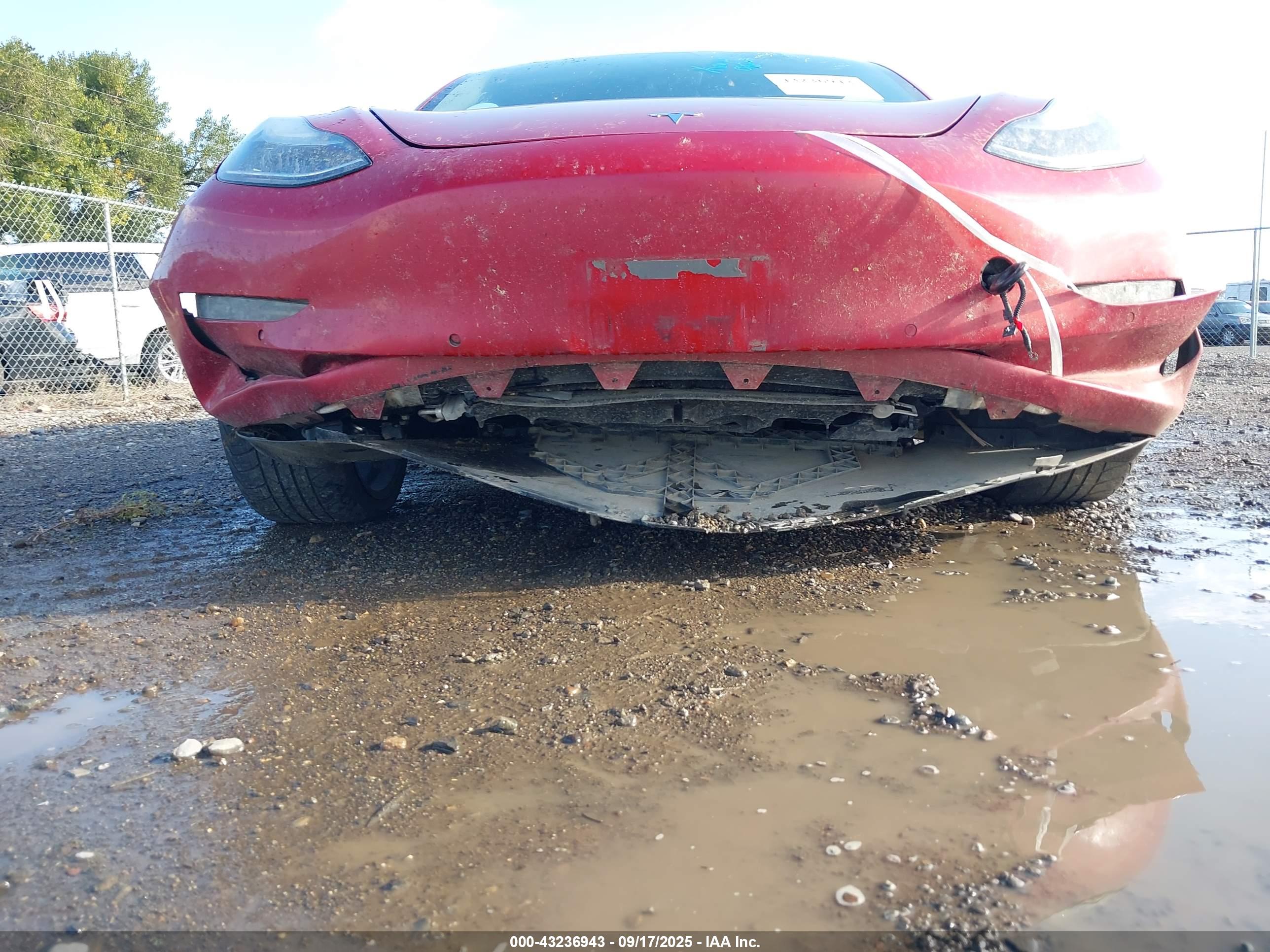 TESLA MODEL image 6