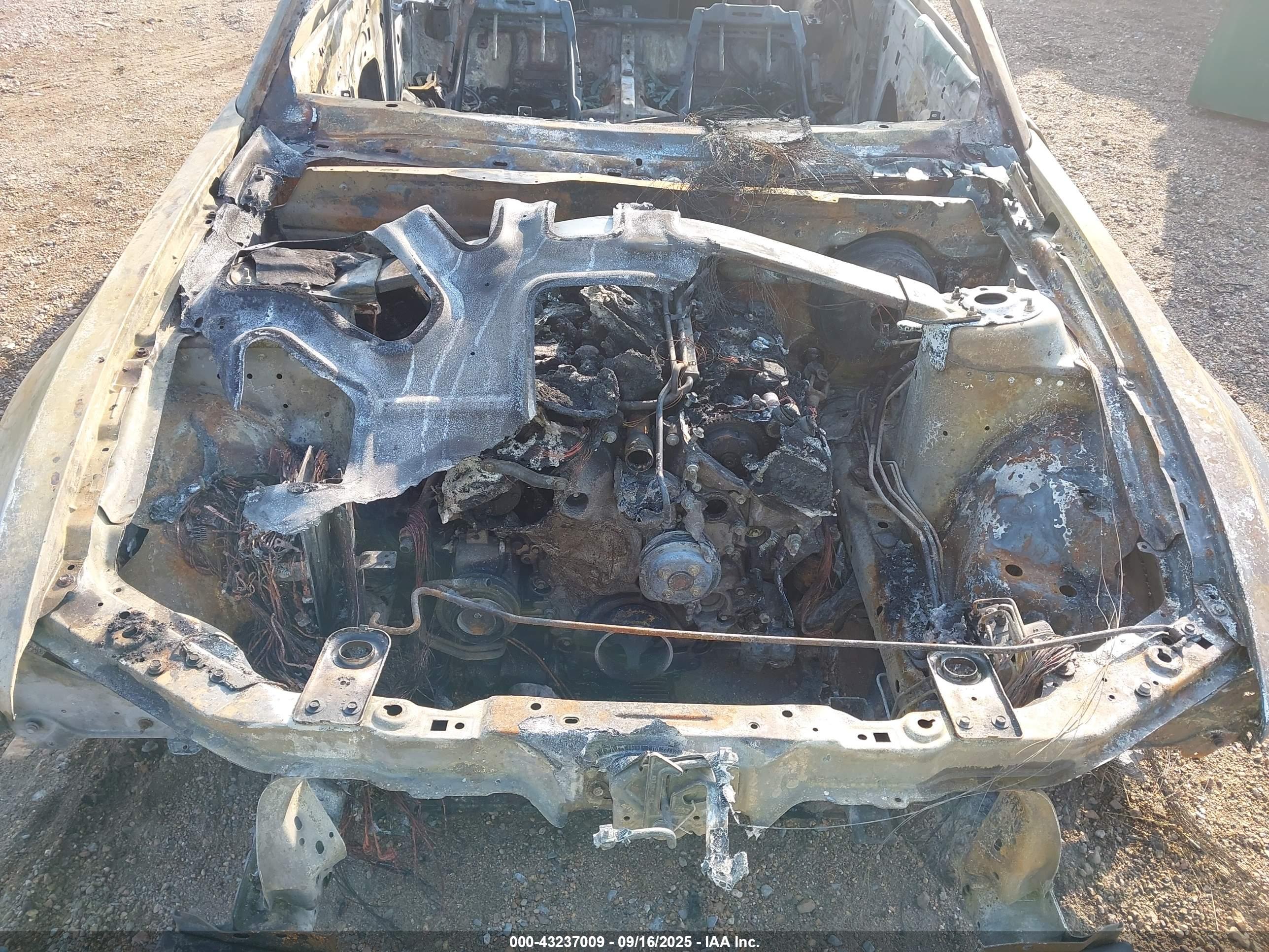 FORD MUSTANG image 10