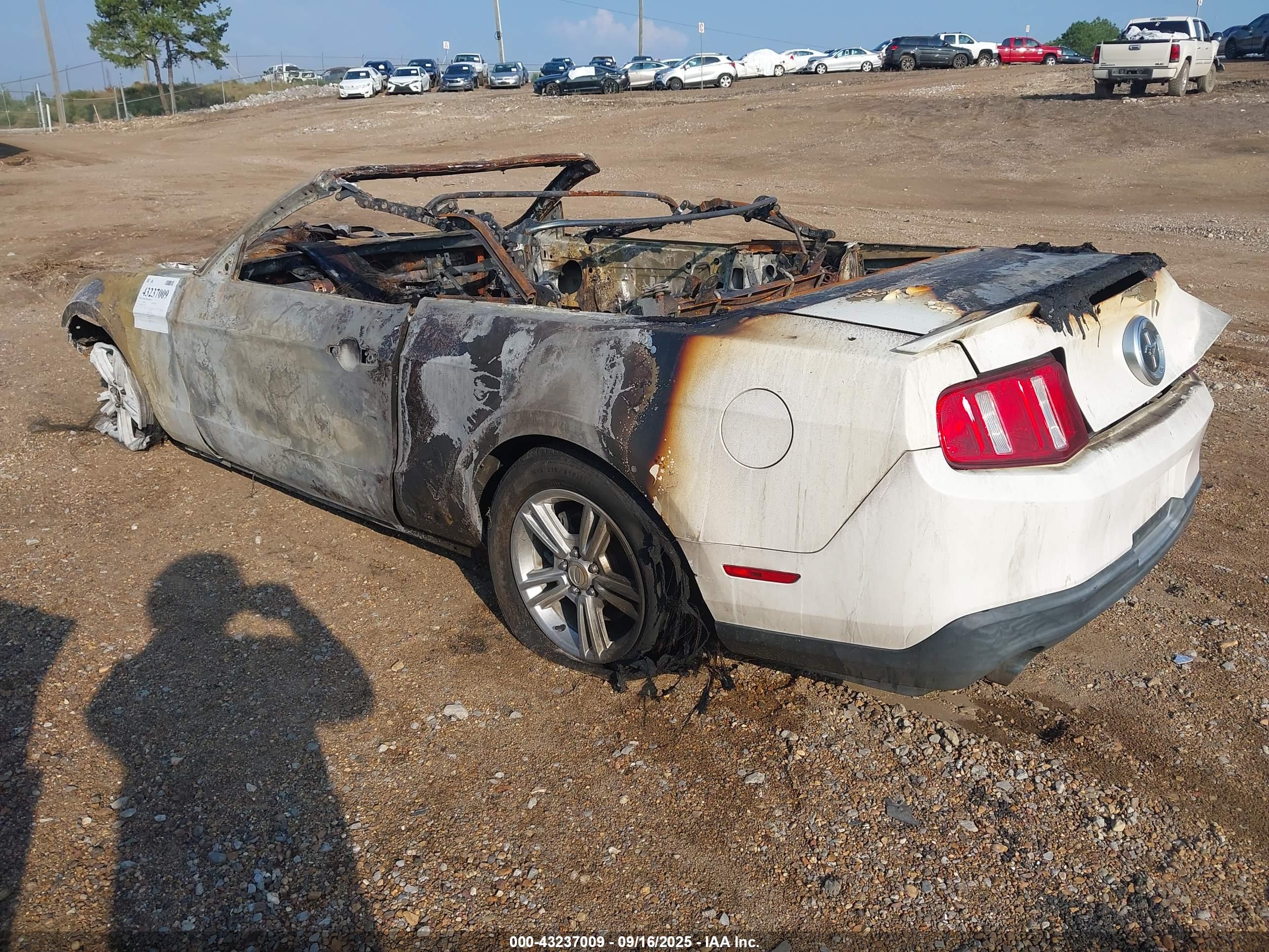 FORD MUSTANG image 3