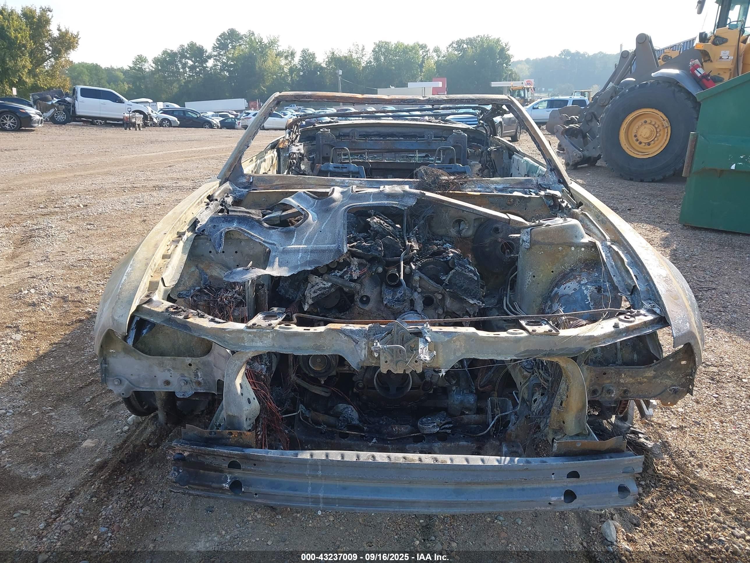 FORD MUSTANG image 6